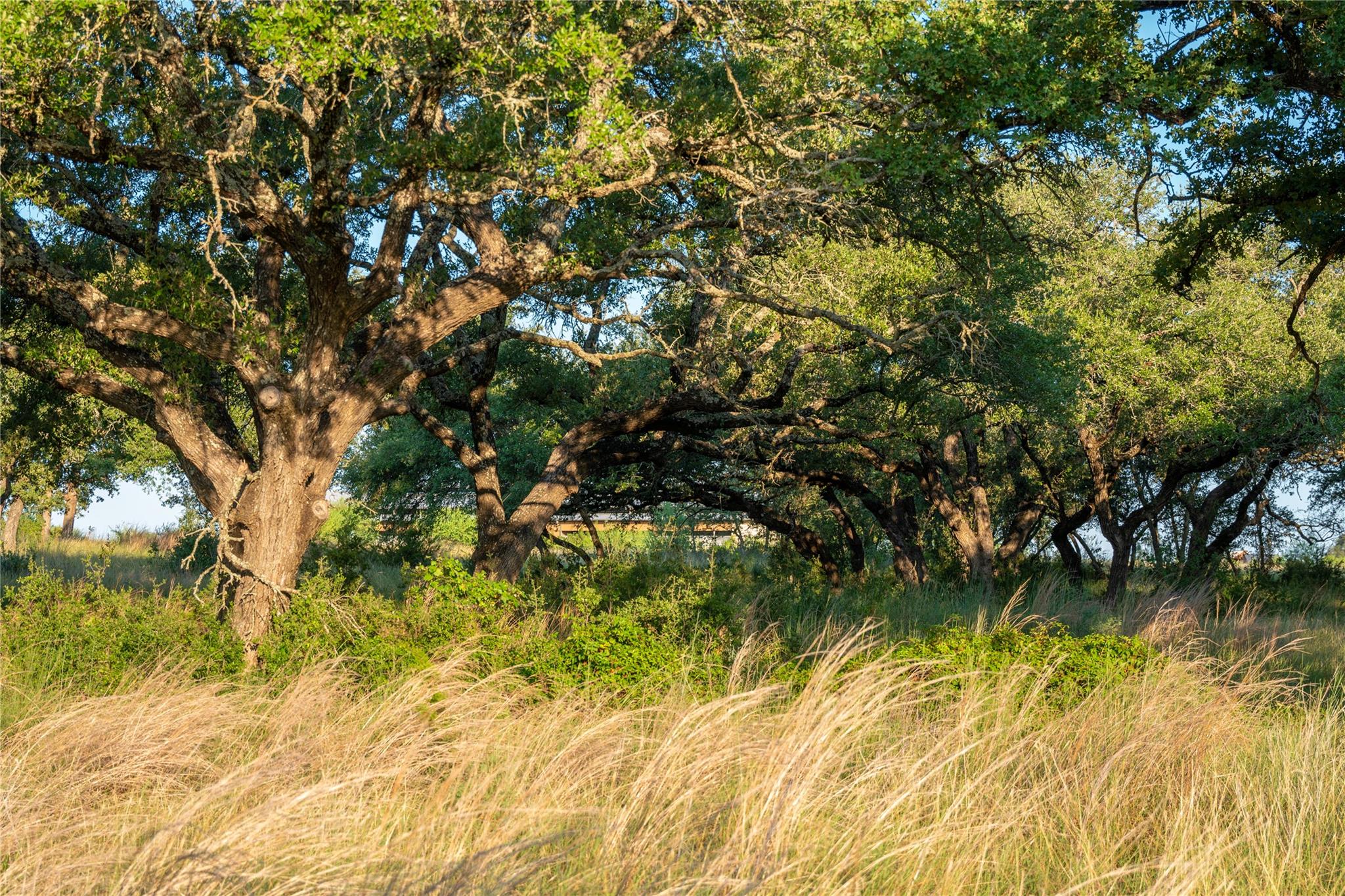 000 RR # 1323, Johnson City, TX 78636