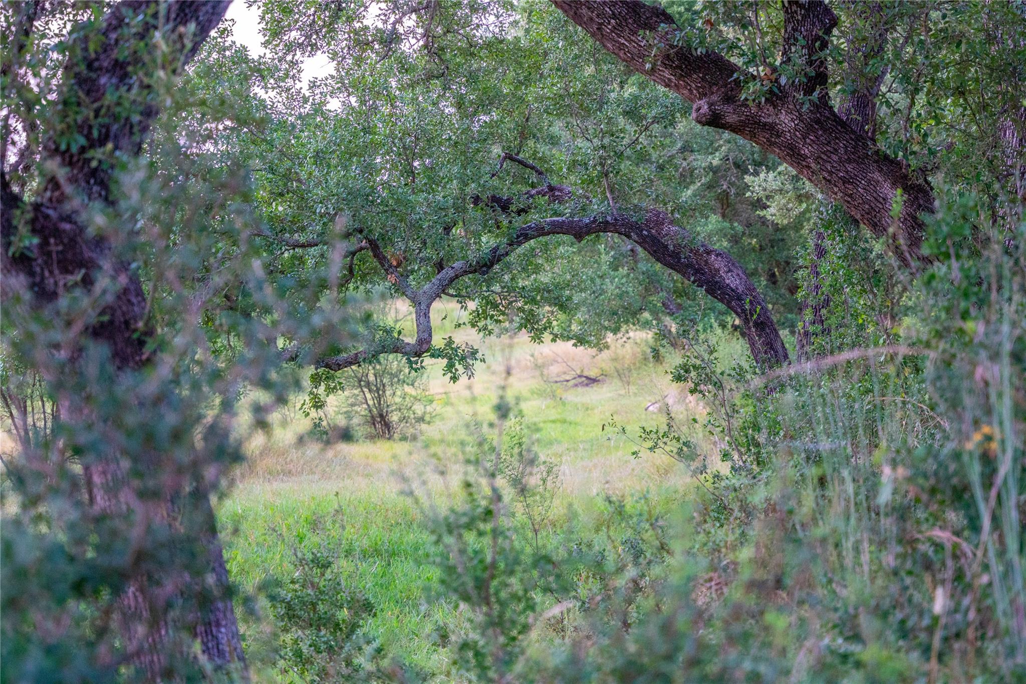 000 RR # 1323, Johnson City, TX 78636