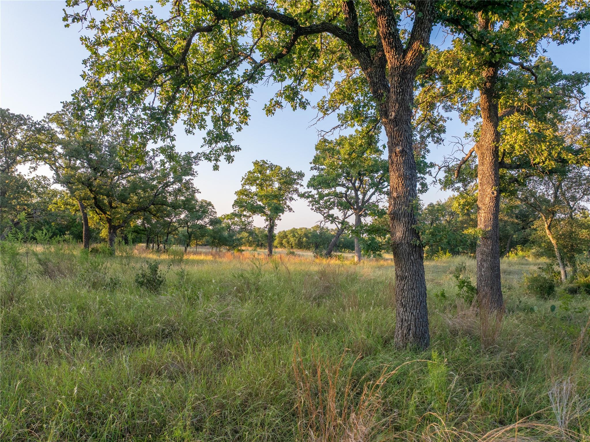 000 RR # 1323, Johnson City, TX 78636