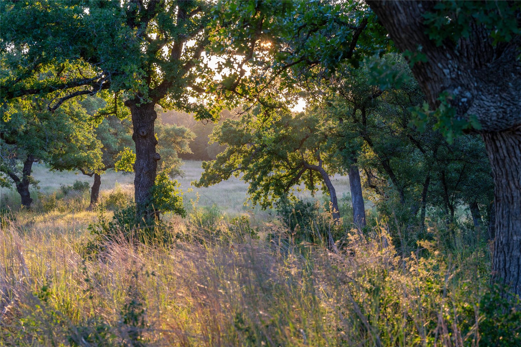 000 RR # 1323, Johnson City, TX 78636