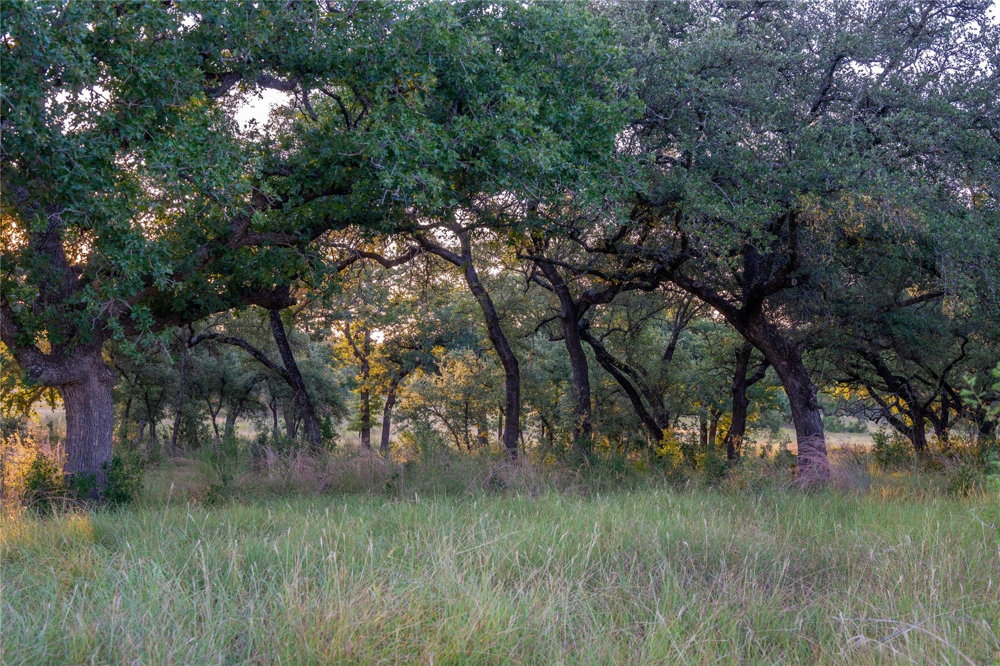 000 RR # 1323, Johnson City, TX 78636