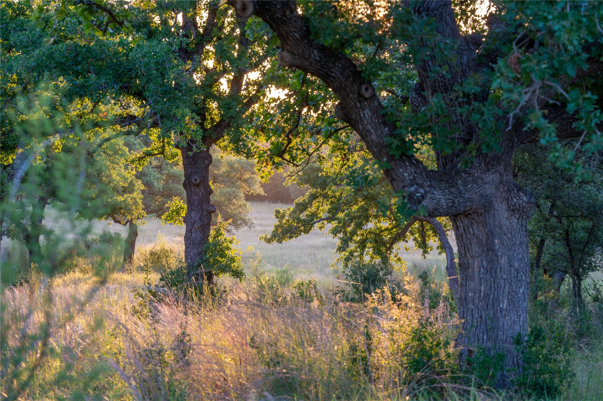 000 RR # 1323, Johnson City, TX 78636