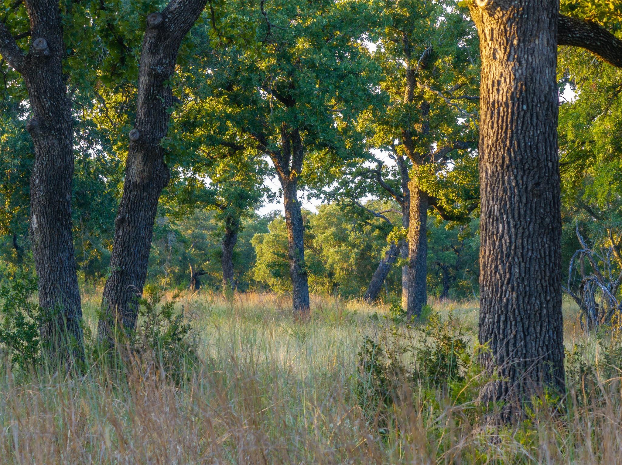 000 RR # 1323, Johnson City, TX 78636