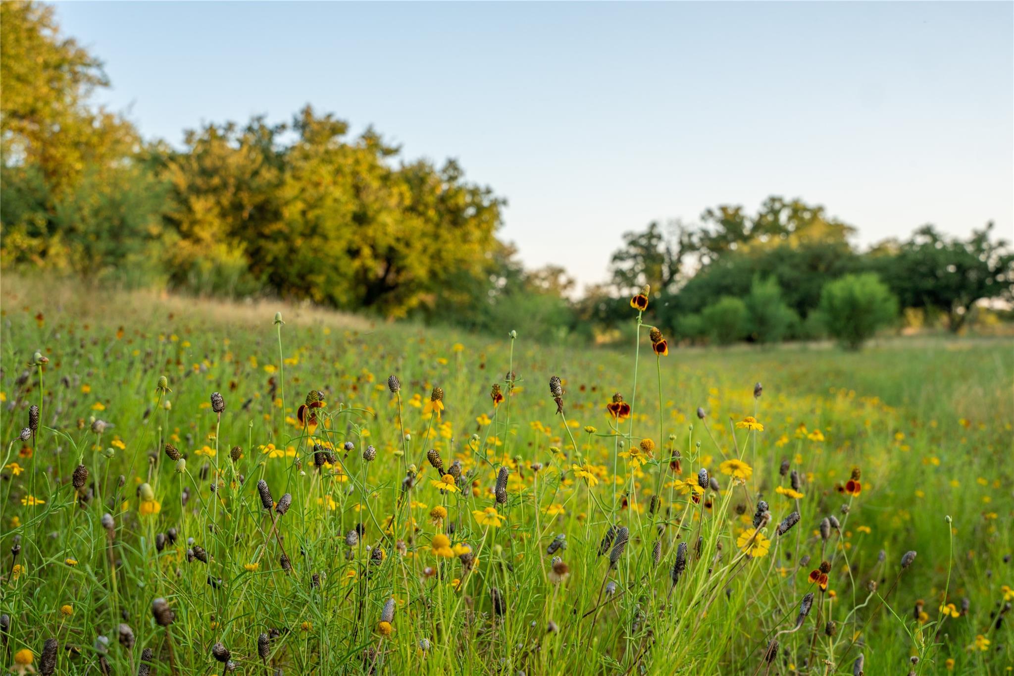 000 RR # 1323, Johnson City, TX 78636