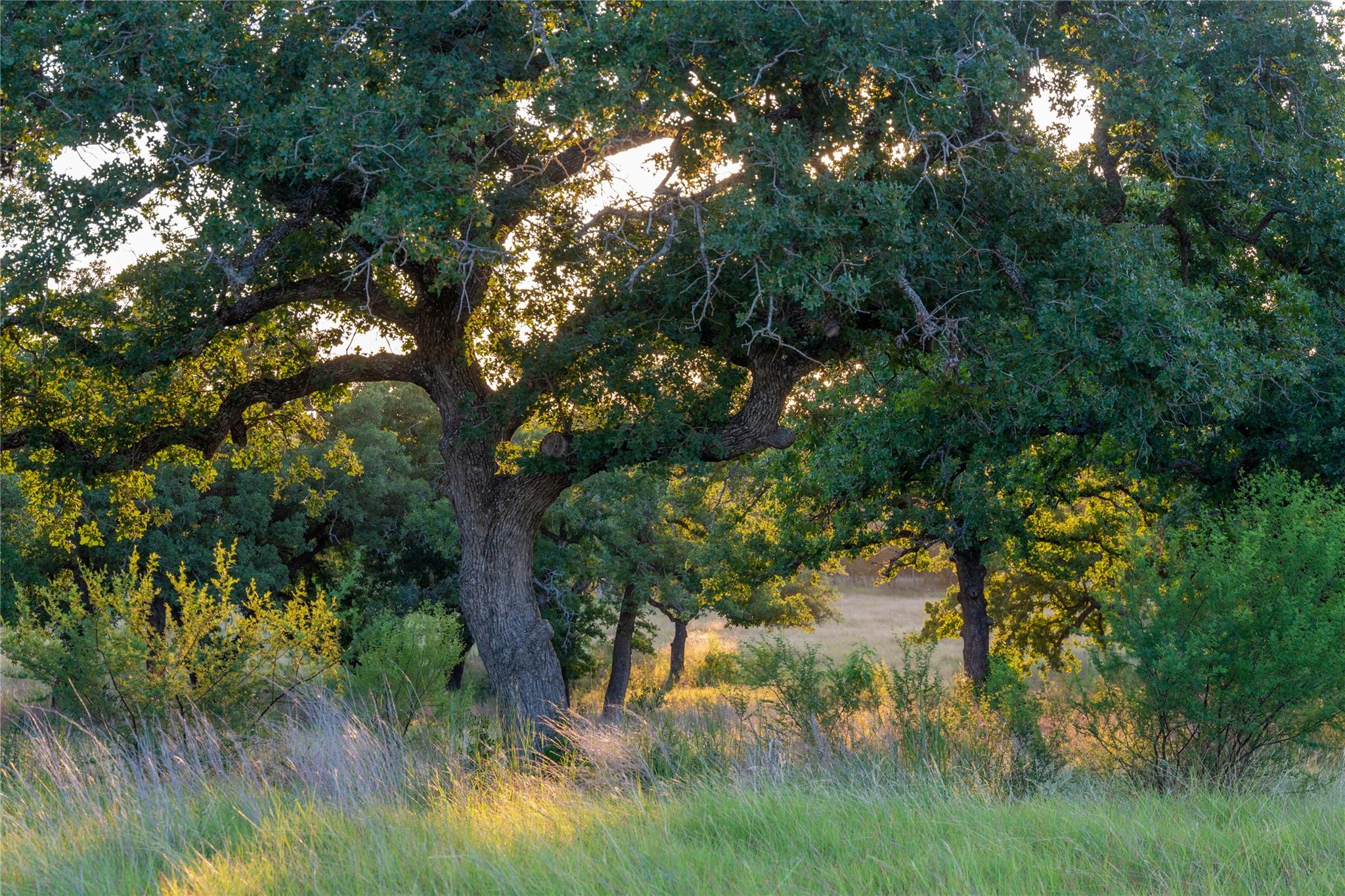 000 RR # 1323, Johnson City, TX 78636