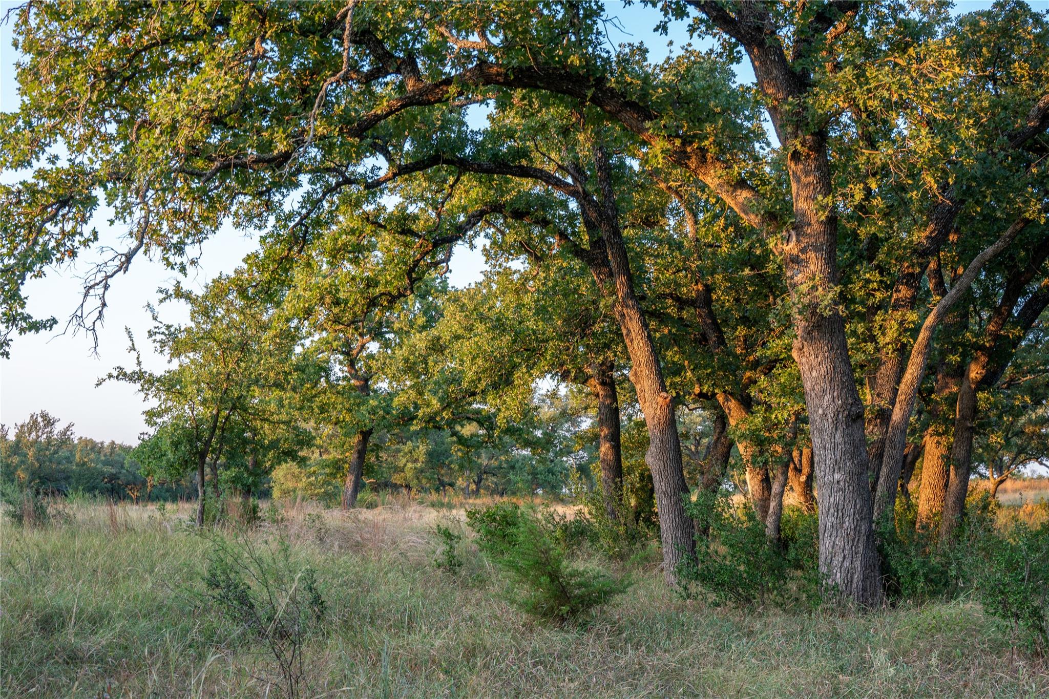 000 RR # 1323, Johnson City, TX 78636