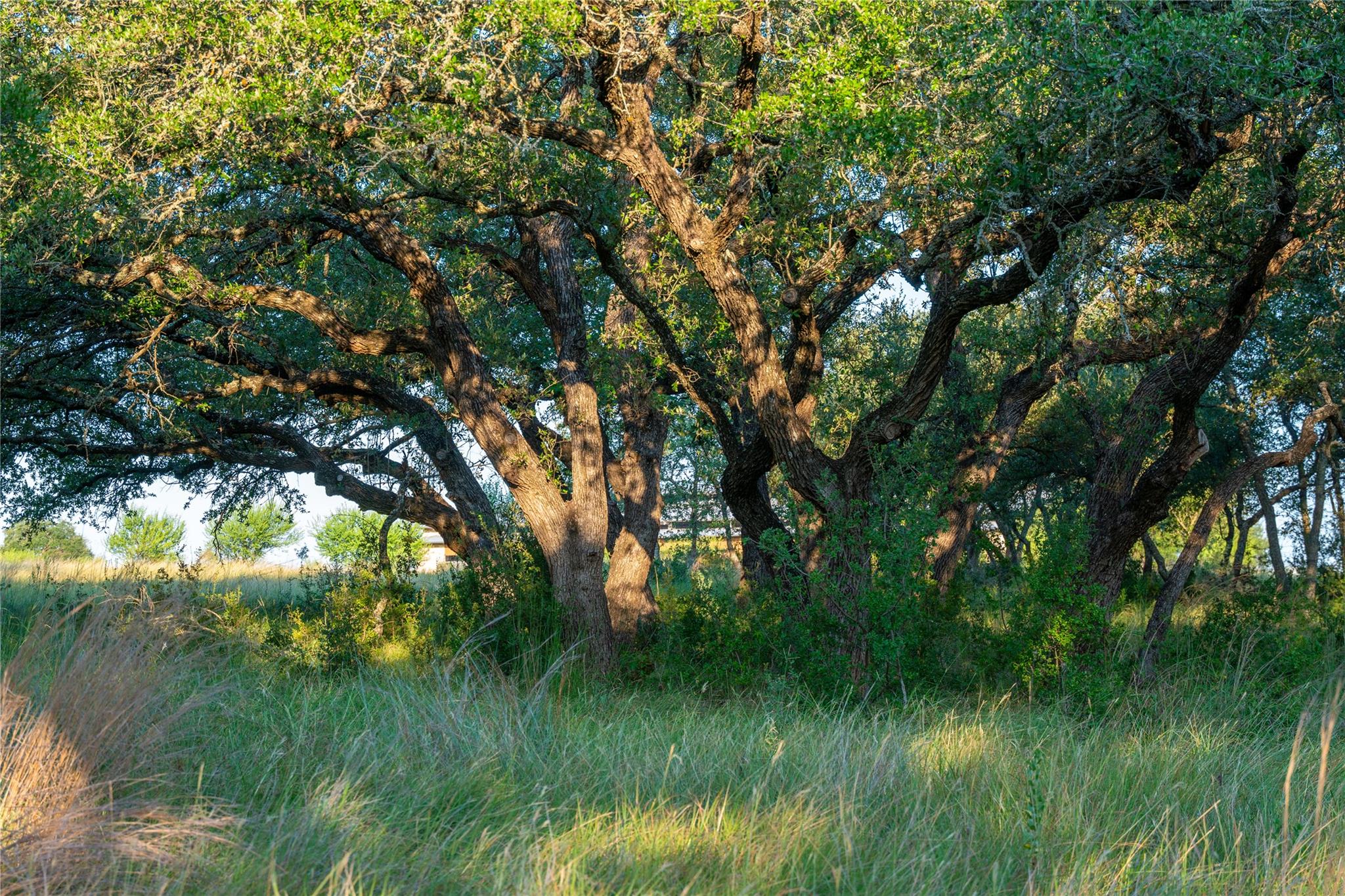 000 RR # 1323, Johnson City, TX 78636