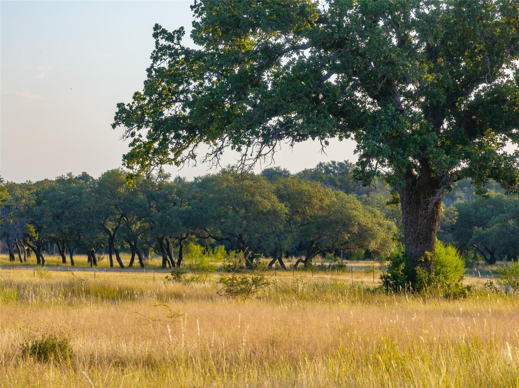 000 RR # 1323, Johnson City, TX 78636