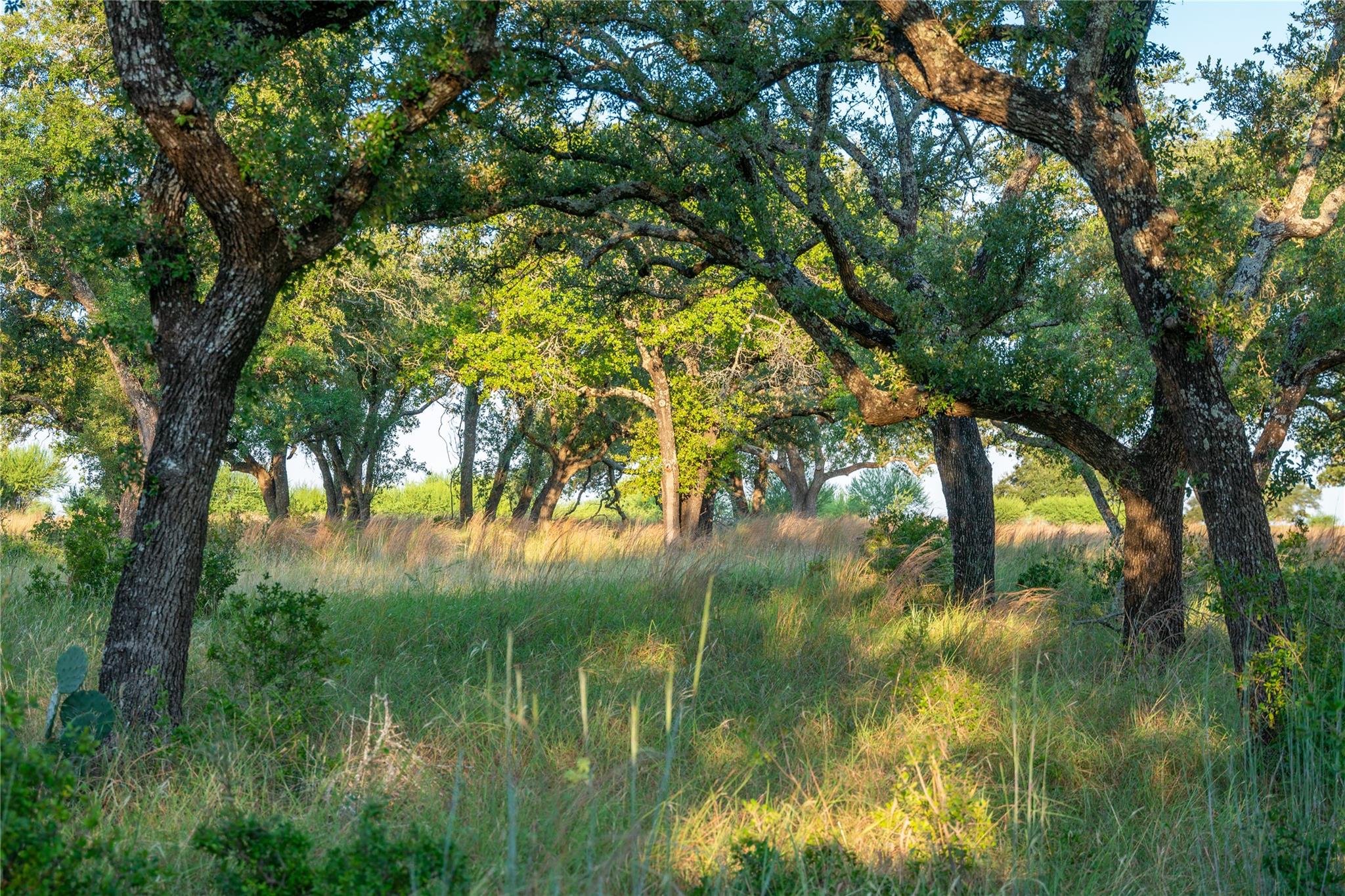 000 RR # 1323, Johnson City, TX 78636