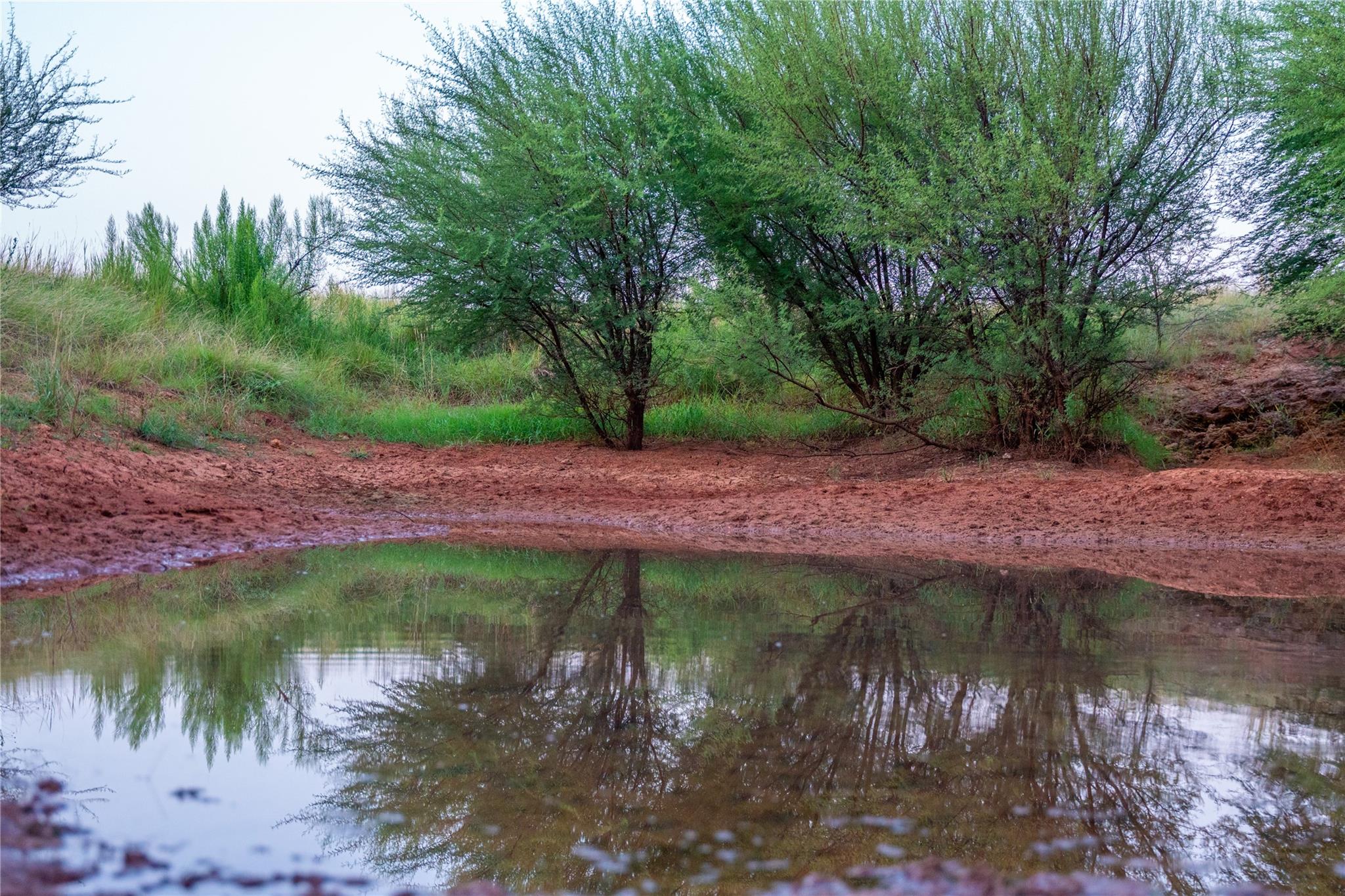 000 RR # 1323, Johnson City, TX 78636