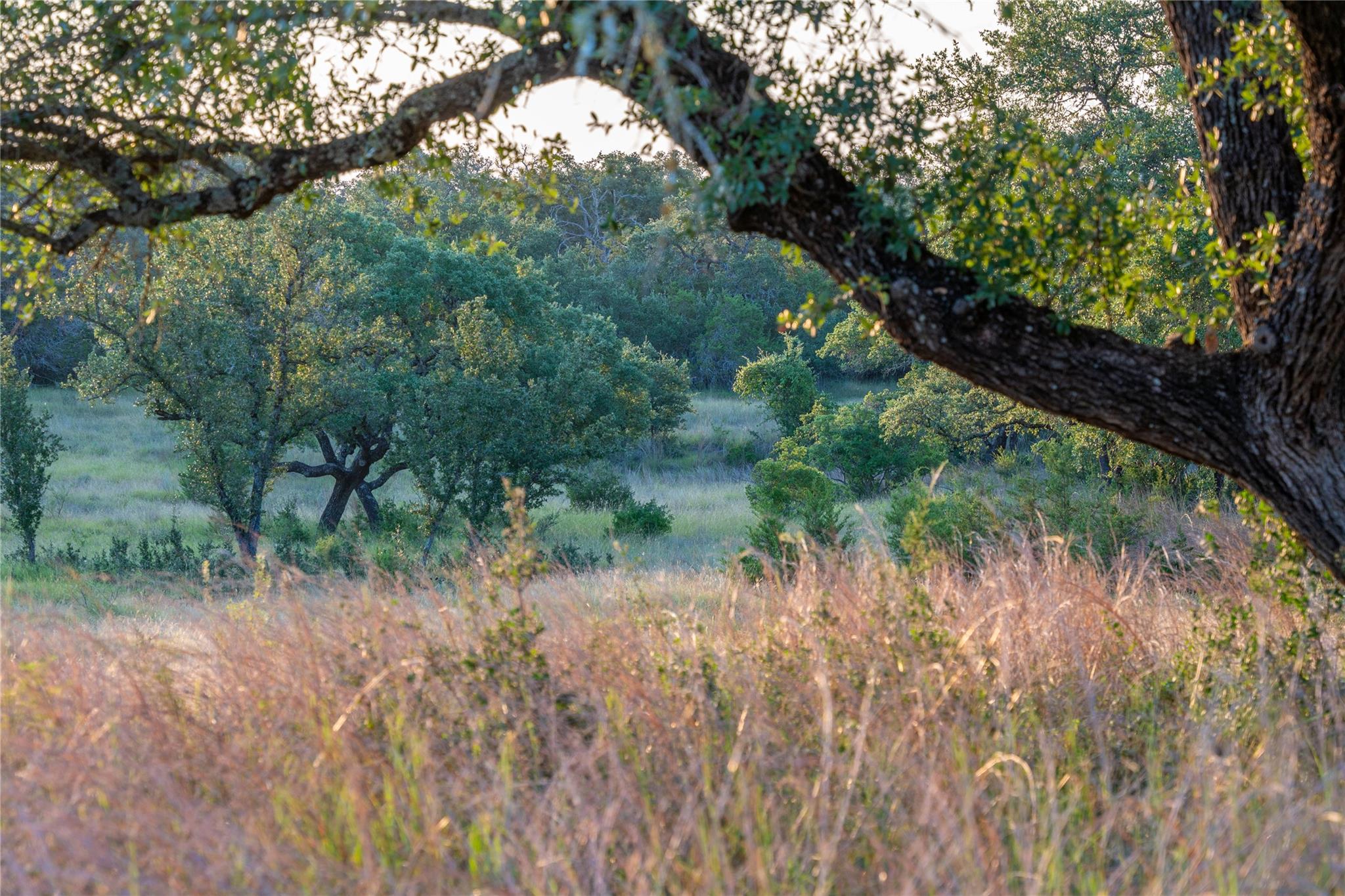 000 RR # 1323, Johnson City, TX 78636