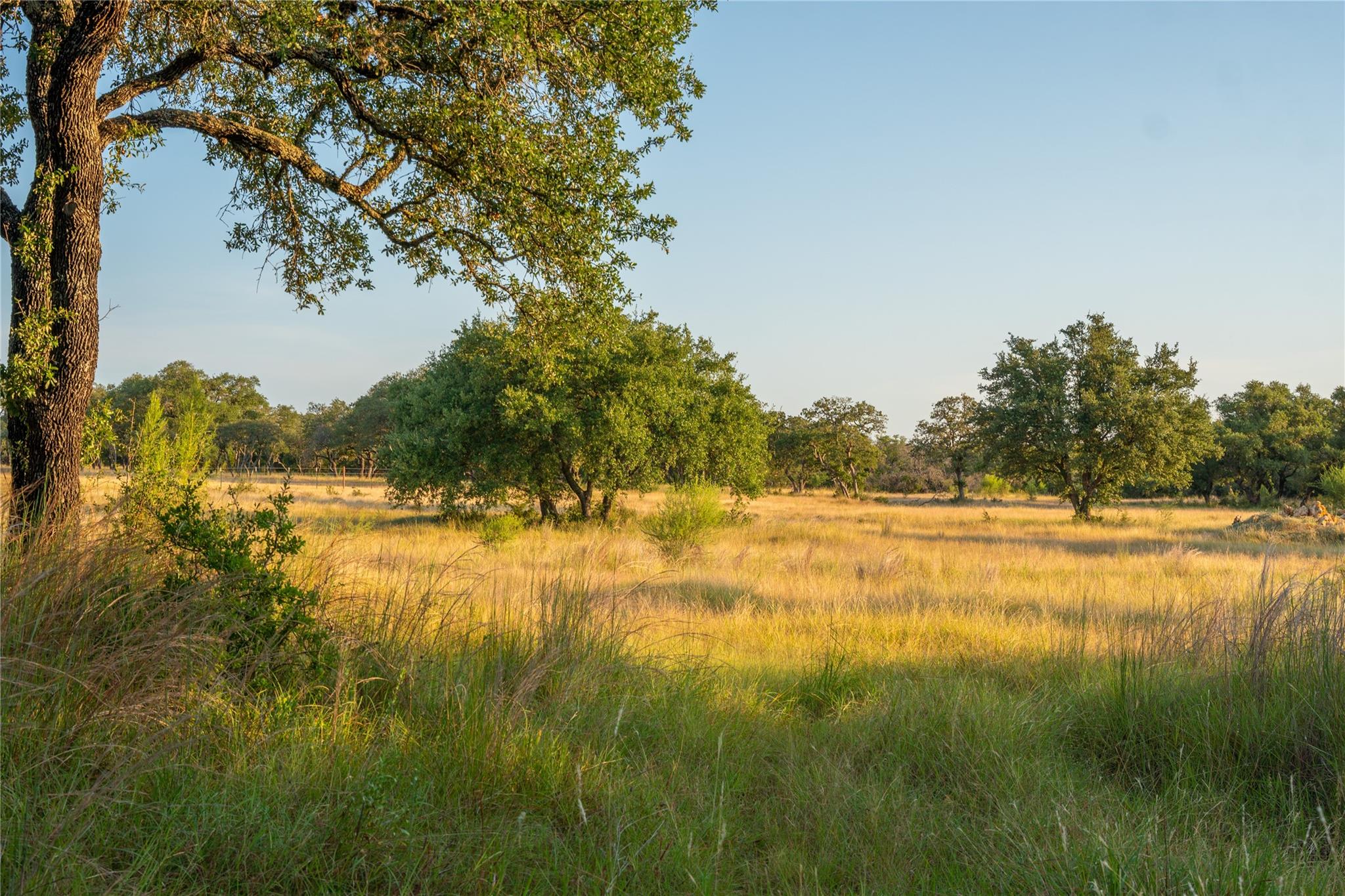 000 RR # 1323, Johnson City, TX 78636