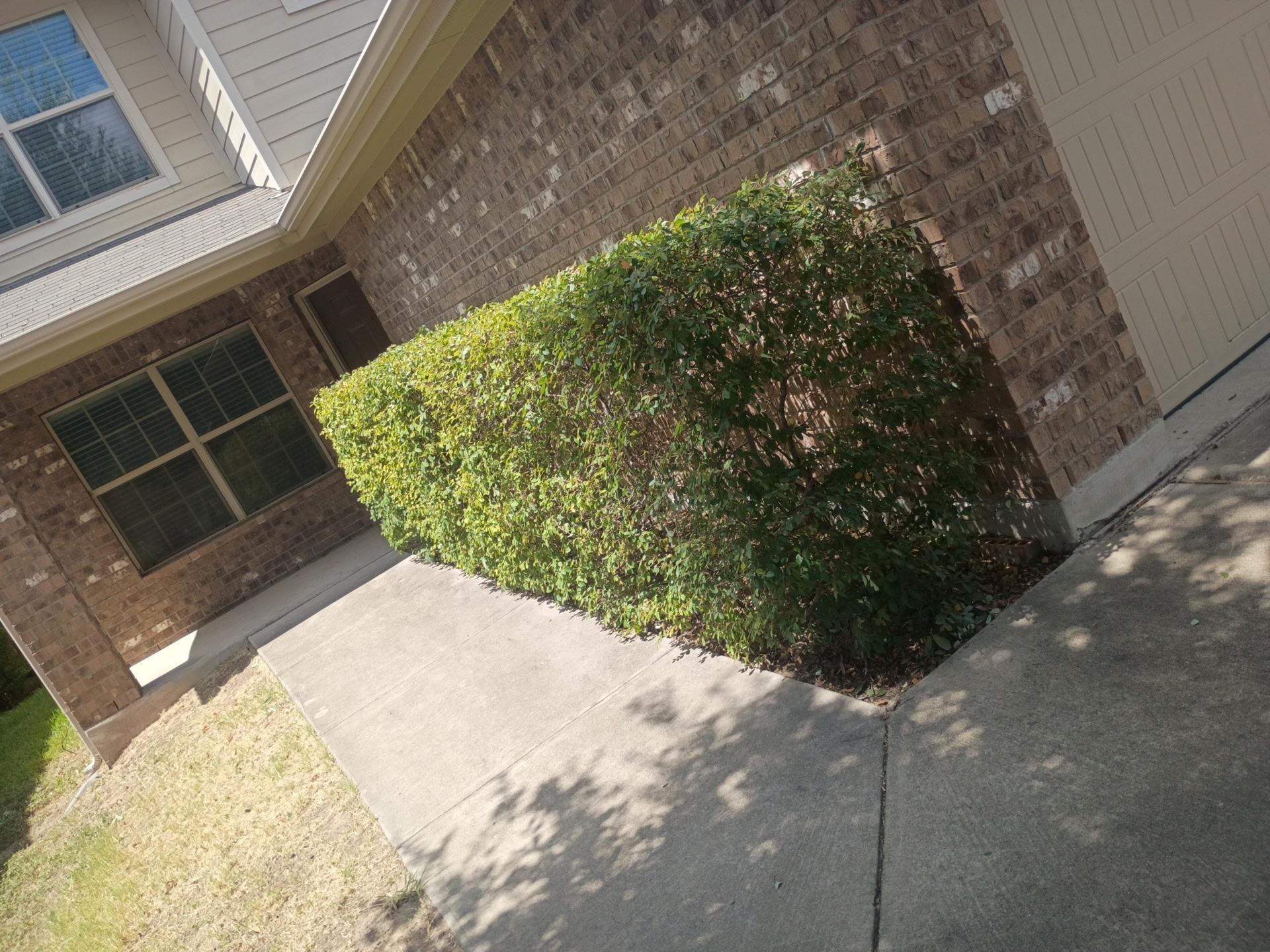 7213 Outfitter Dr, Austin, TX 78744