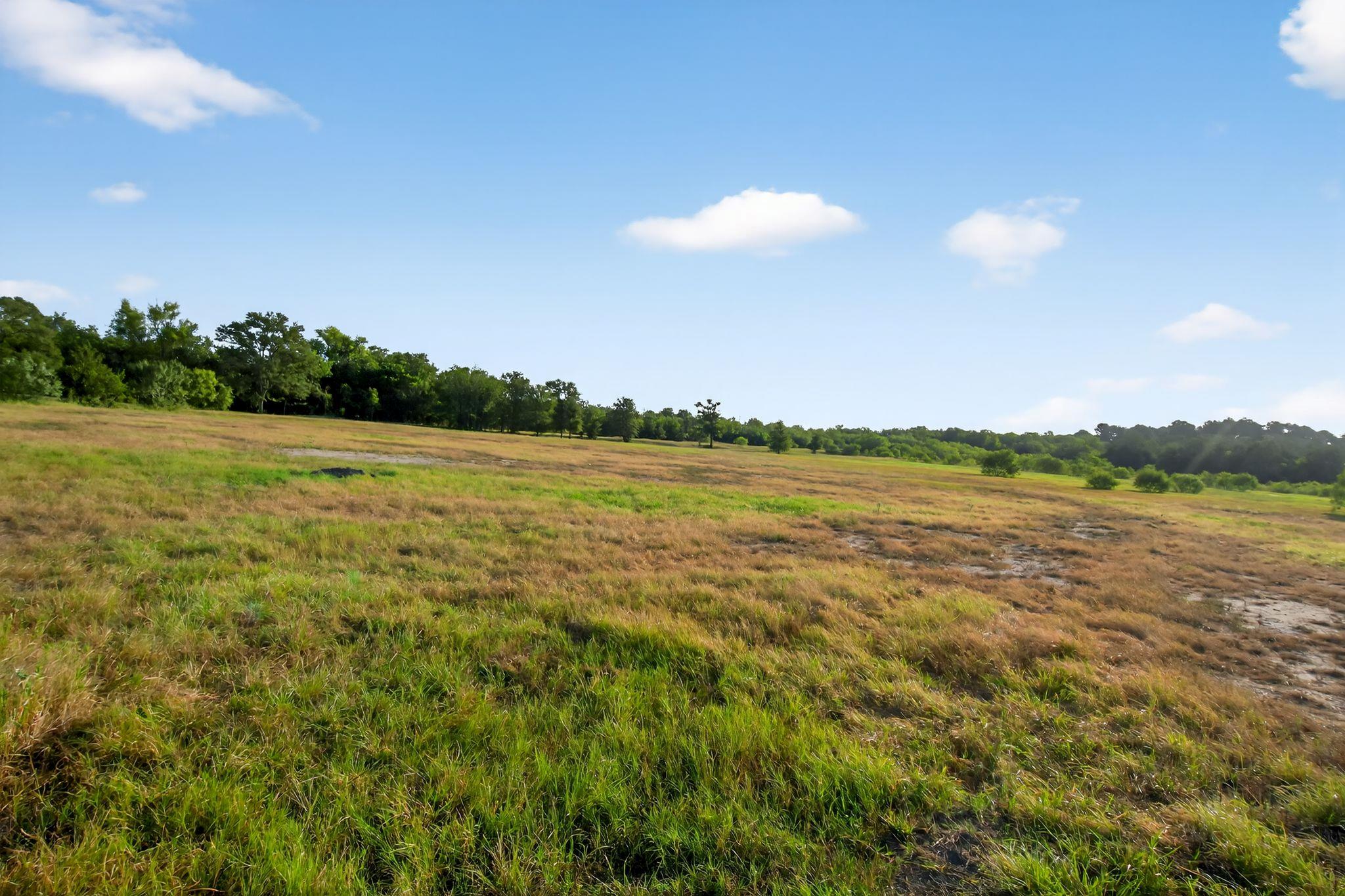 (TBD) 2959 FM 20 Highway, Red Rock, TX 78662