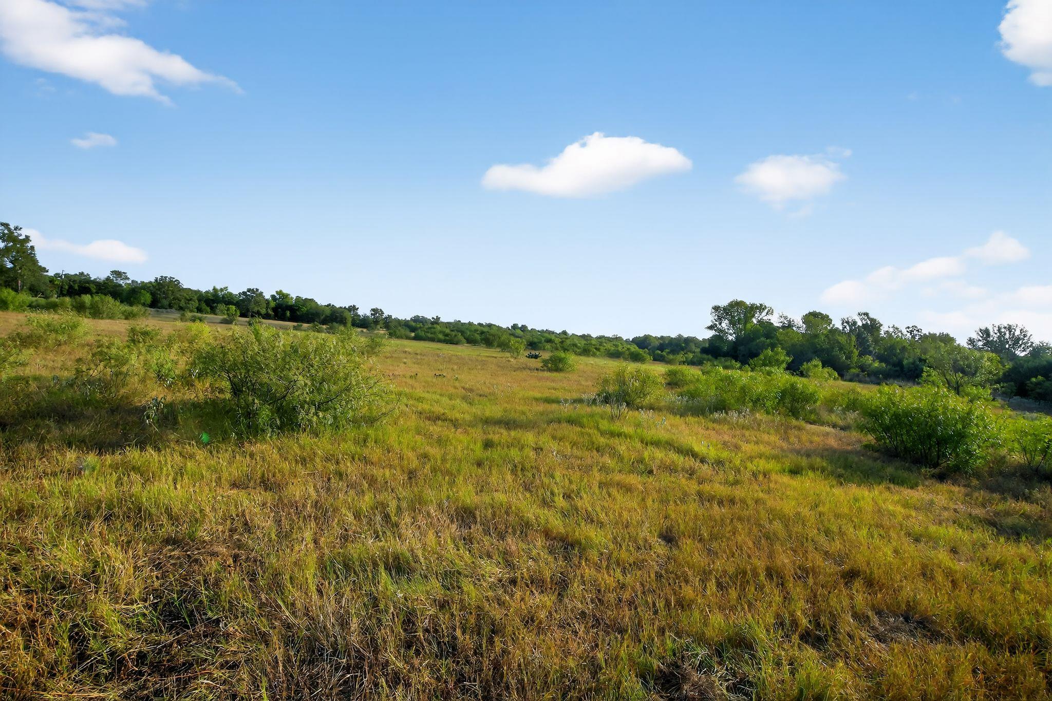 (TBD) 2959 FM 20 Highway, Red Rock, TX 78662