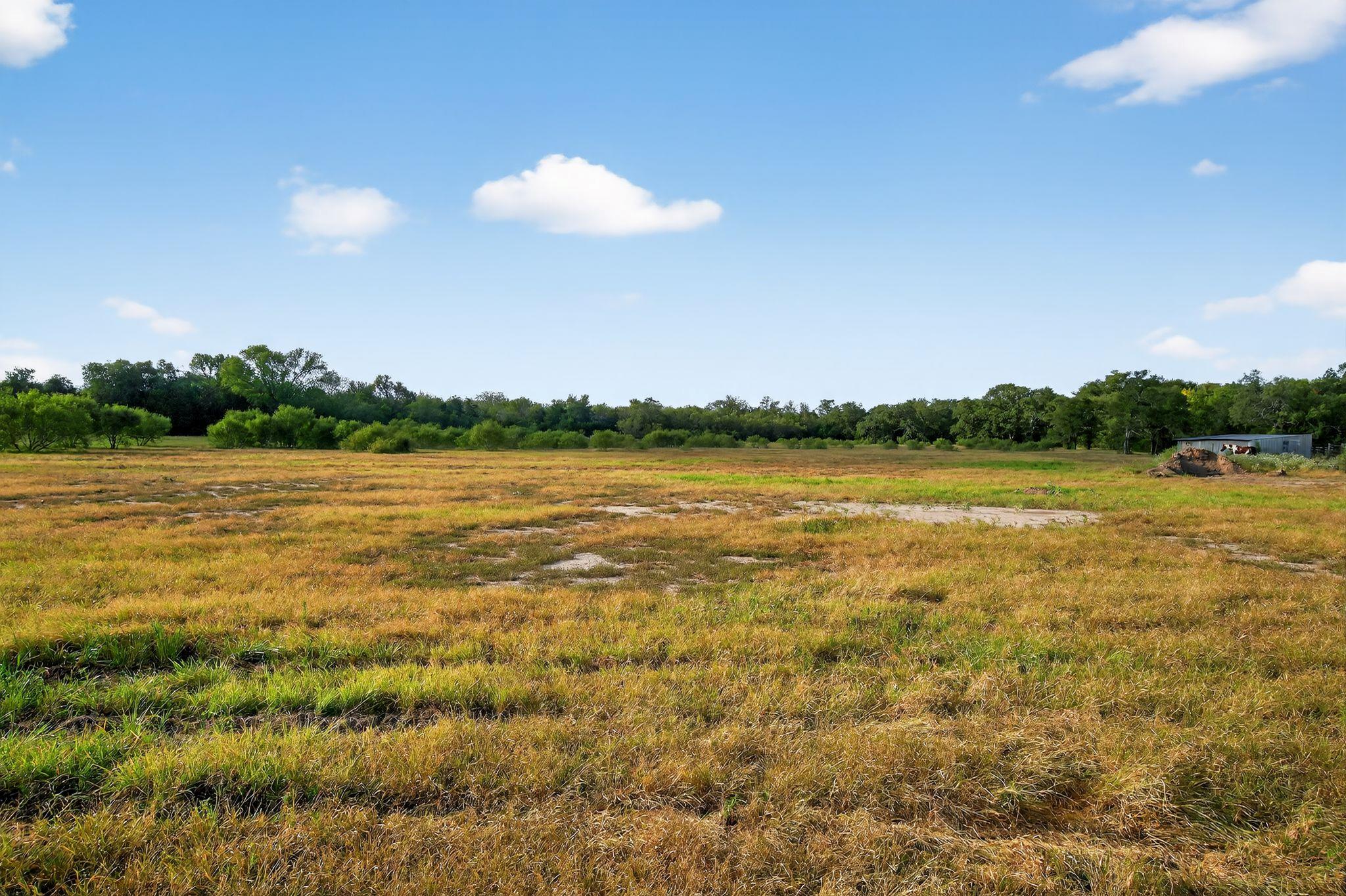 (TBD) 2959 FM 20 Highway, Red Rock, TX 78662