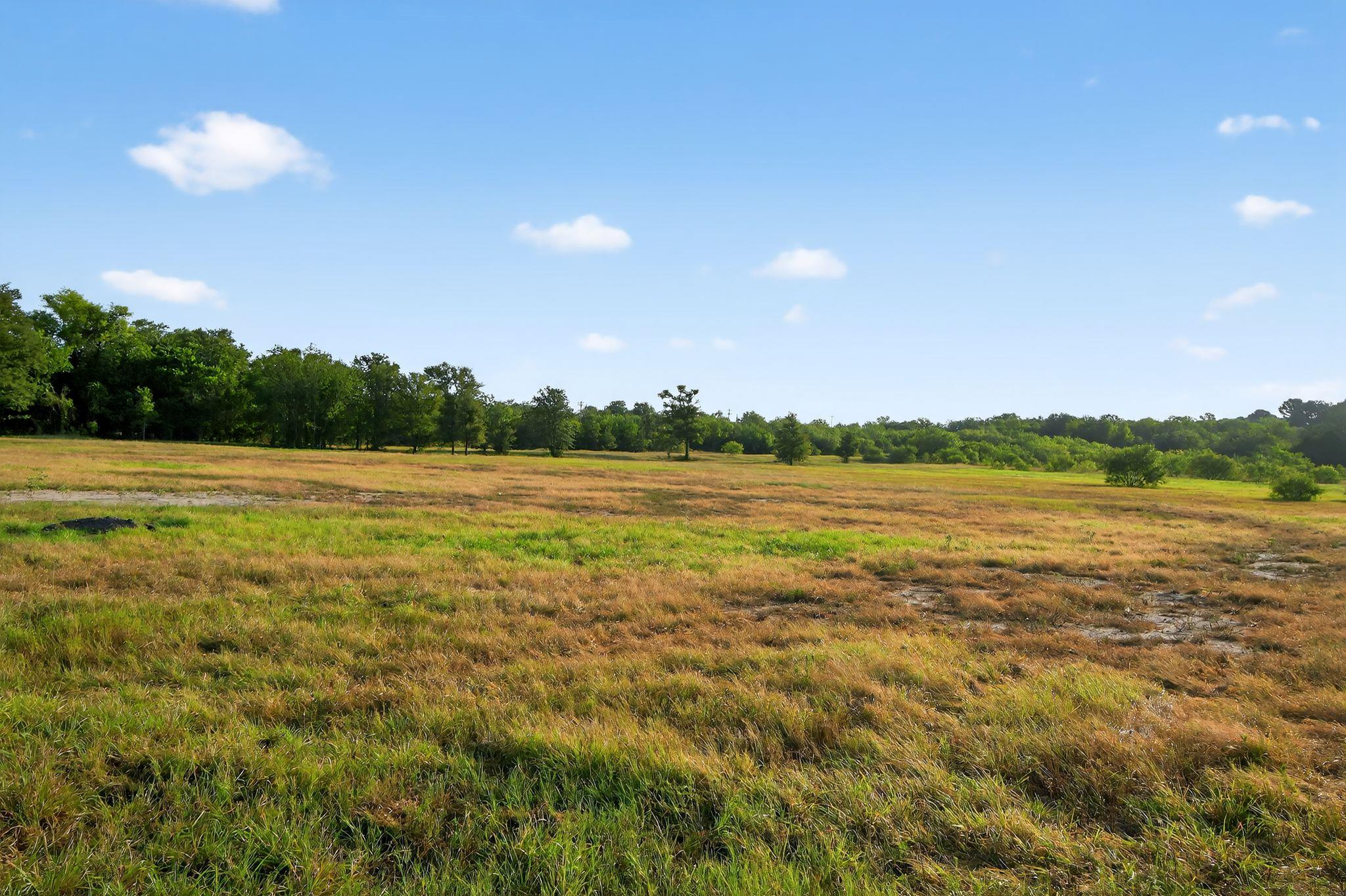 (TBD) 2959 FM 20 Highway, Red Rock, TX 78662