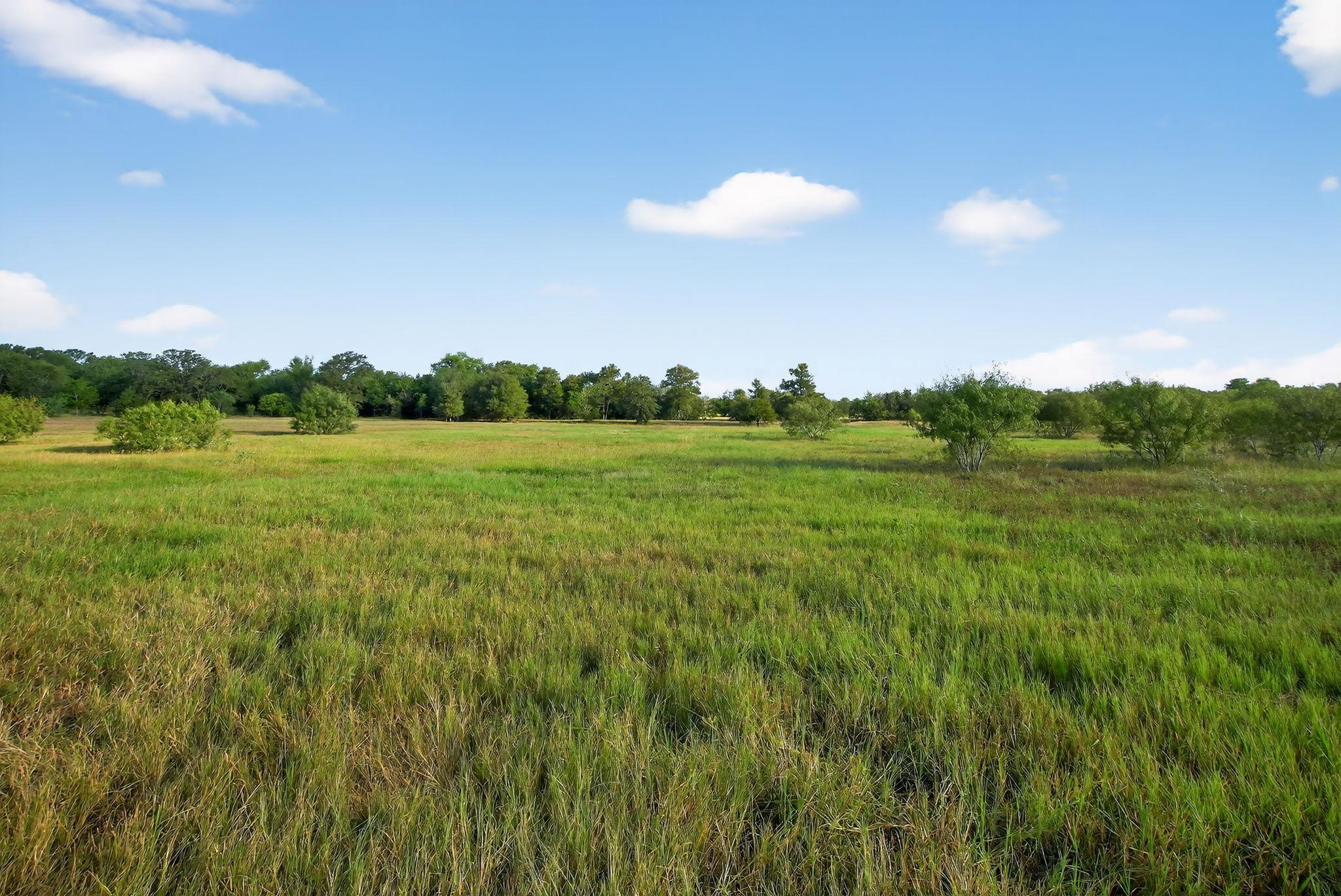 (TBD) 2959 FM 20 Highway, Red Rock, TX 78662