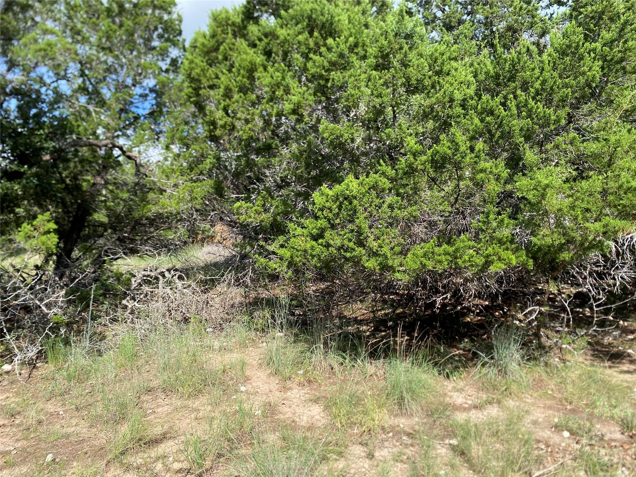 21105 Santa Rosa Ave, Lago Vista, TX 78645