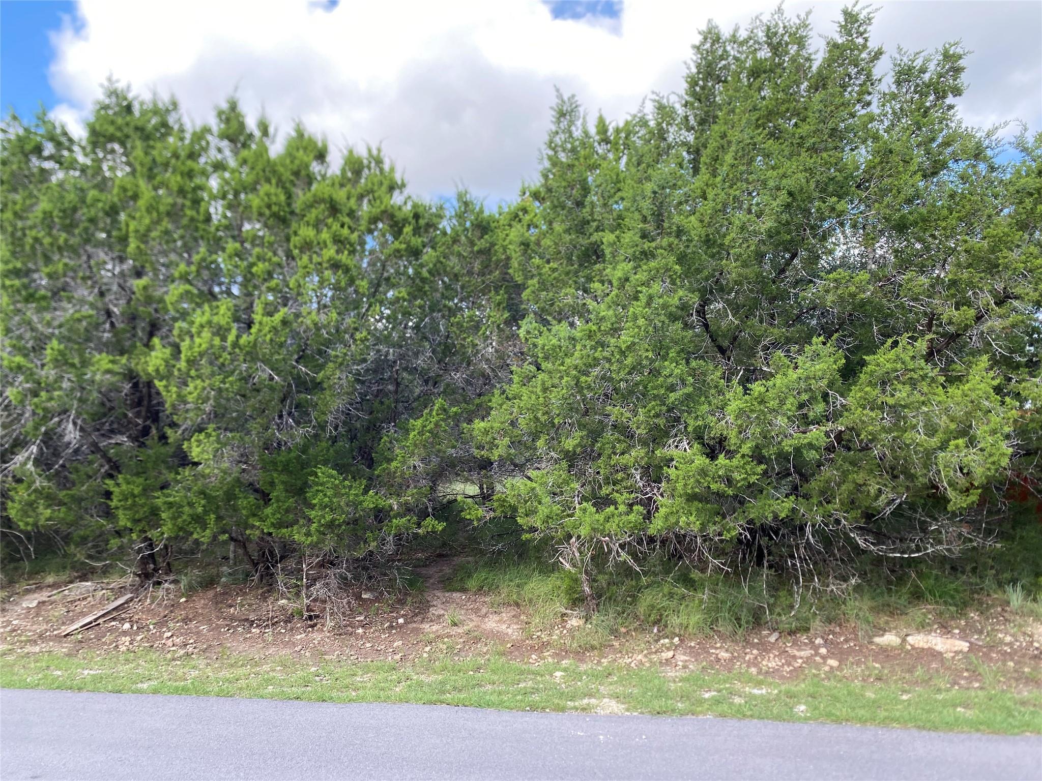 21105 Santa Rosa Ave, Lago Vista, TX 78645