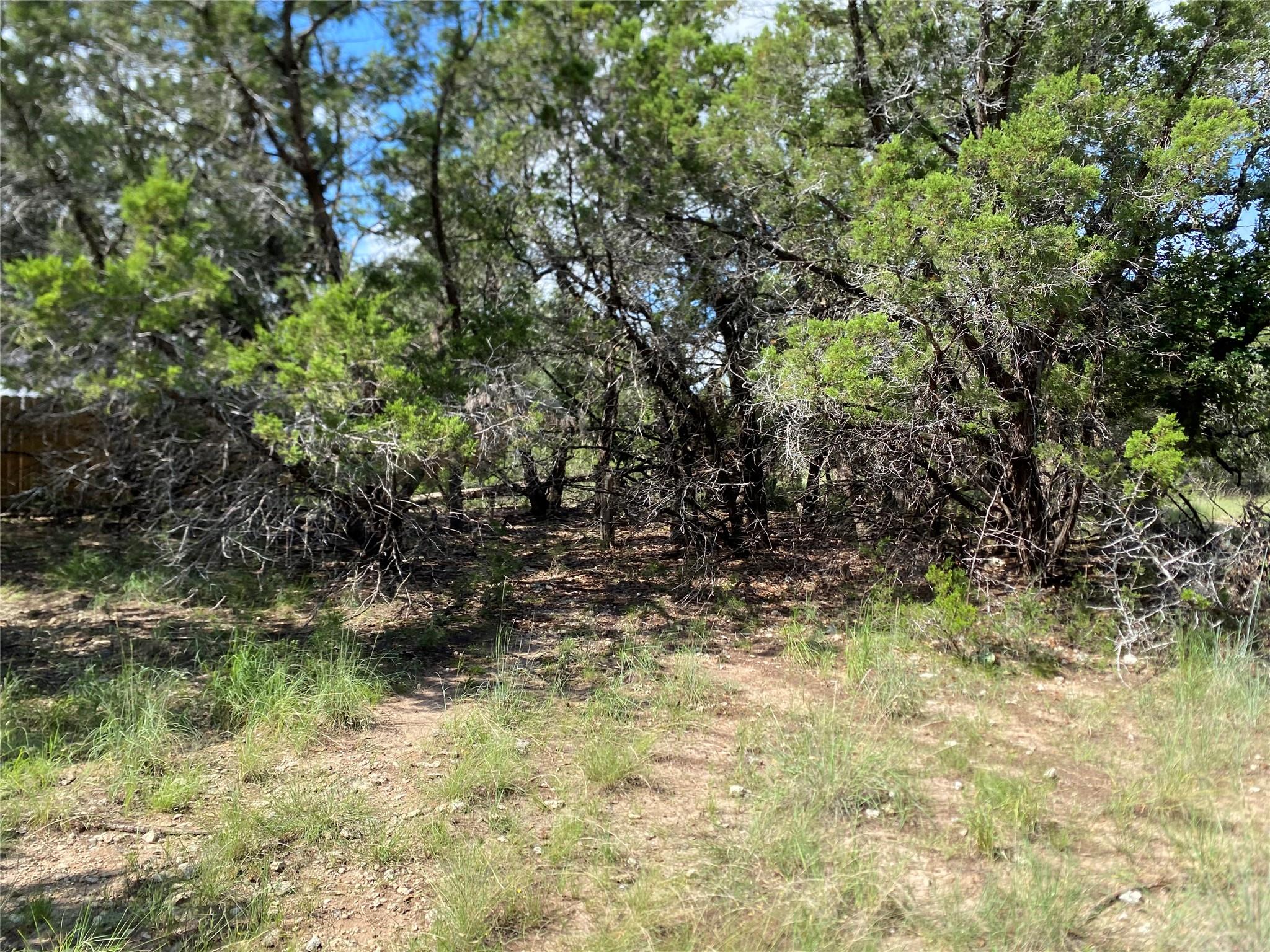 21105 Santa Rosa Ave, Lago Vista, TX 78645