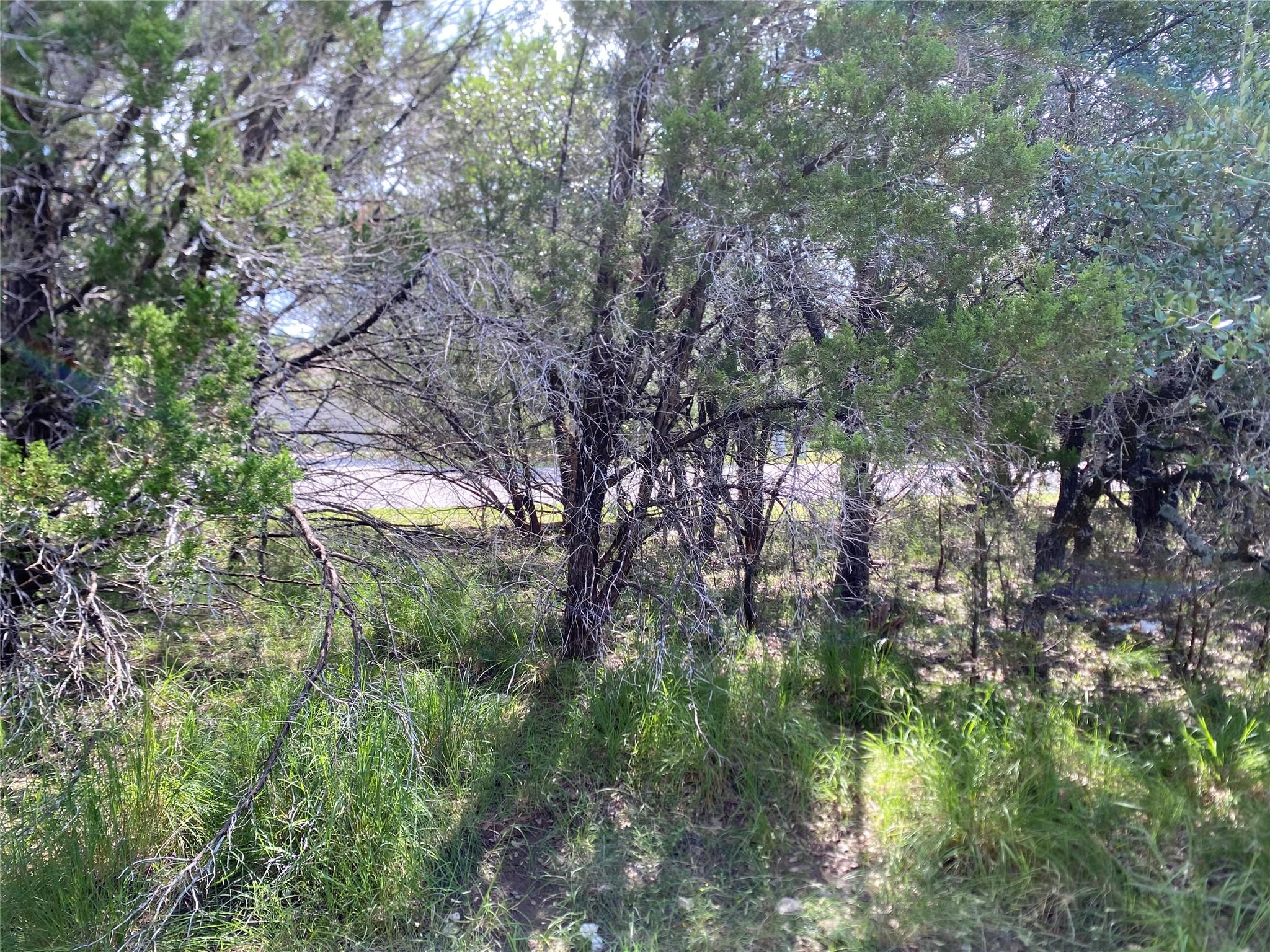 21105 Santa Rosa Ave, Lago Vista, TX 78645