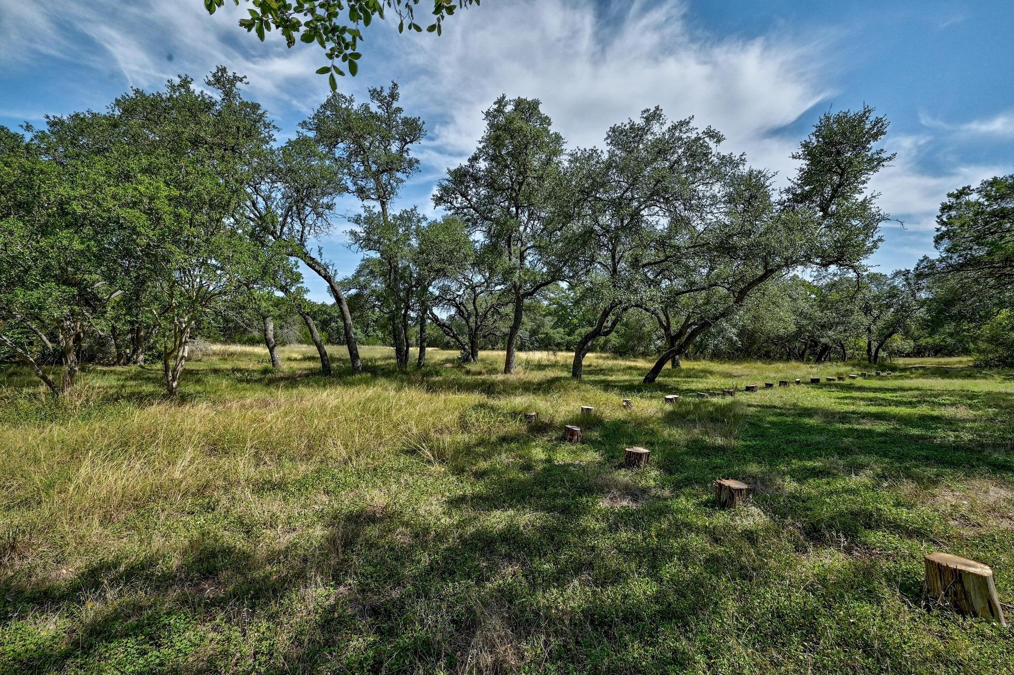 301 Misti Ln, Driftwood, TX 78619