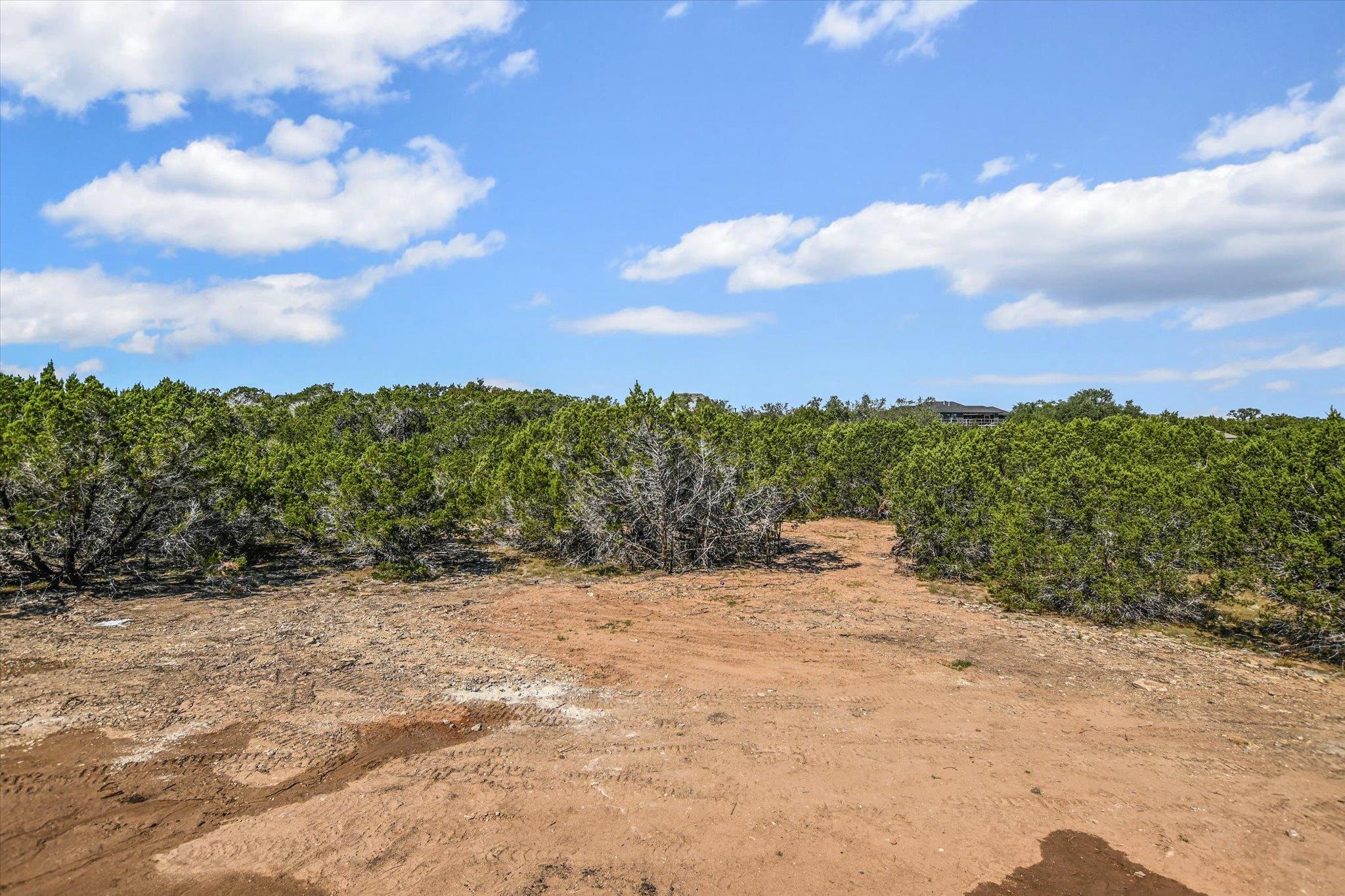 116 Rusty Colt, Liberty Hill, TX 78642