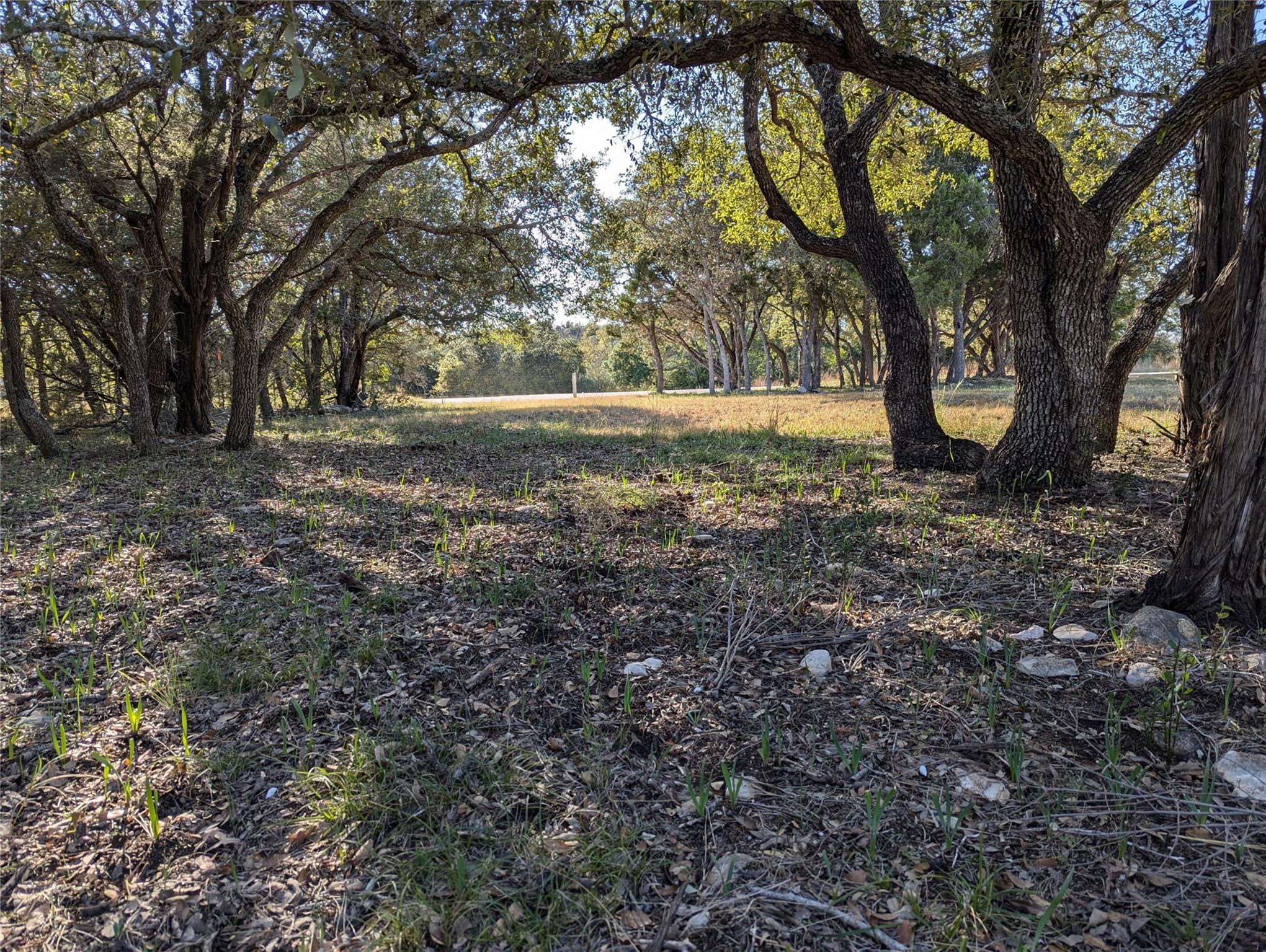 541 Onion Creek Ln, Driftwood, TX 78619