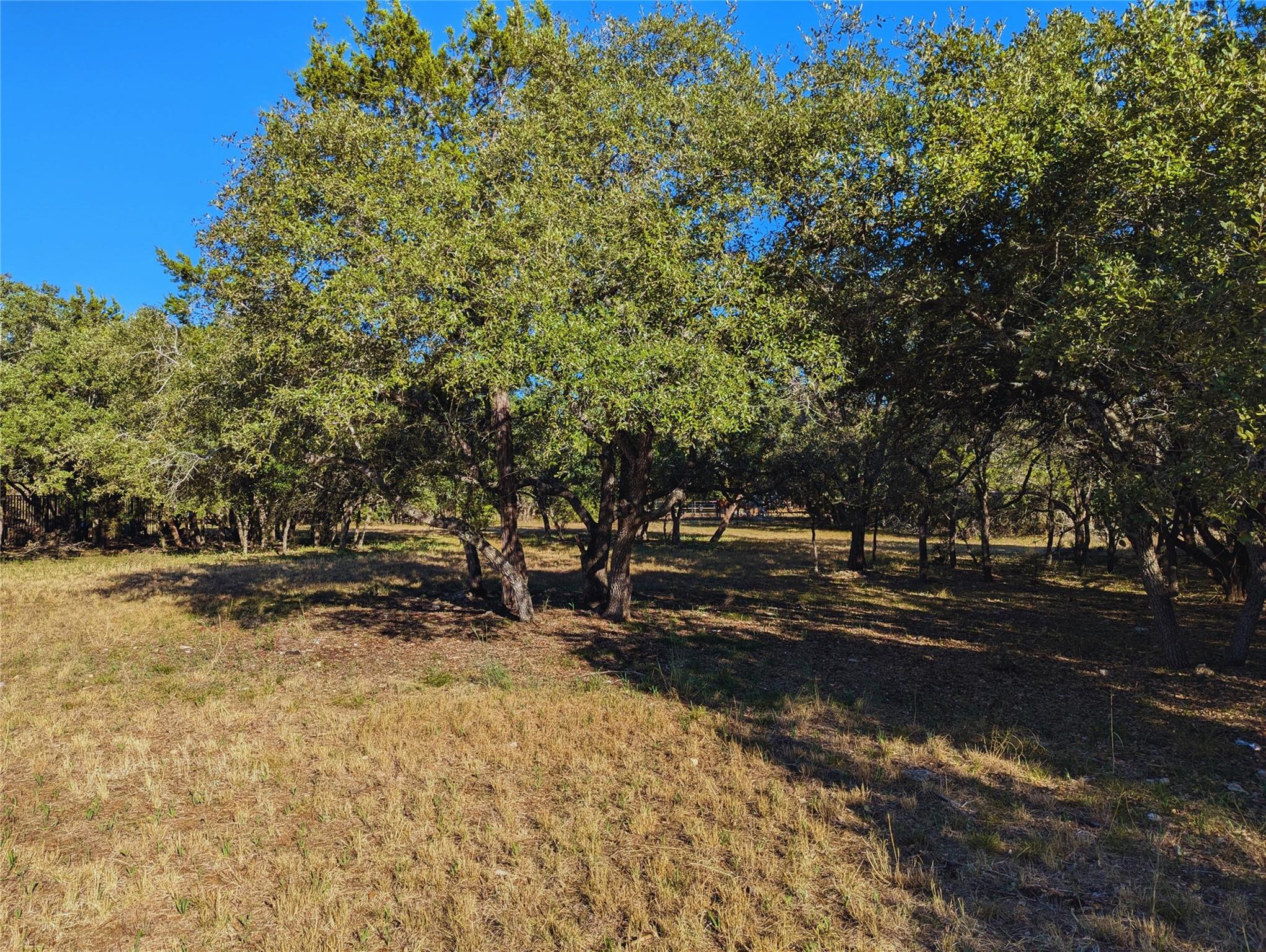 541 Onion Creek Ln, Driftwood, TX 78619