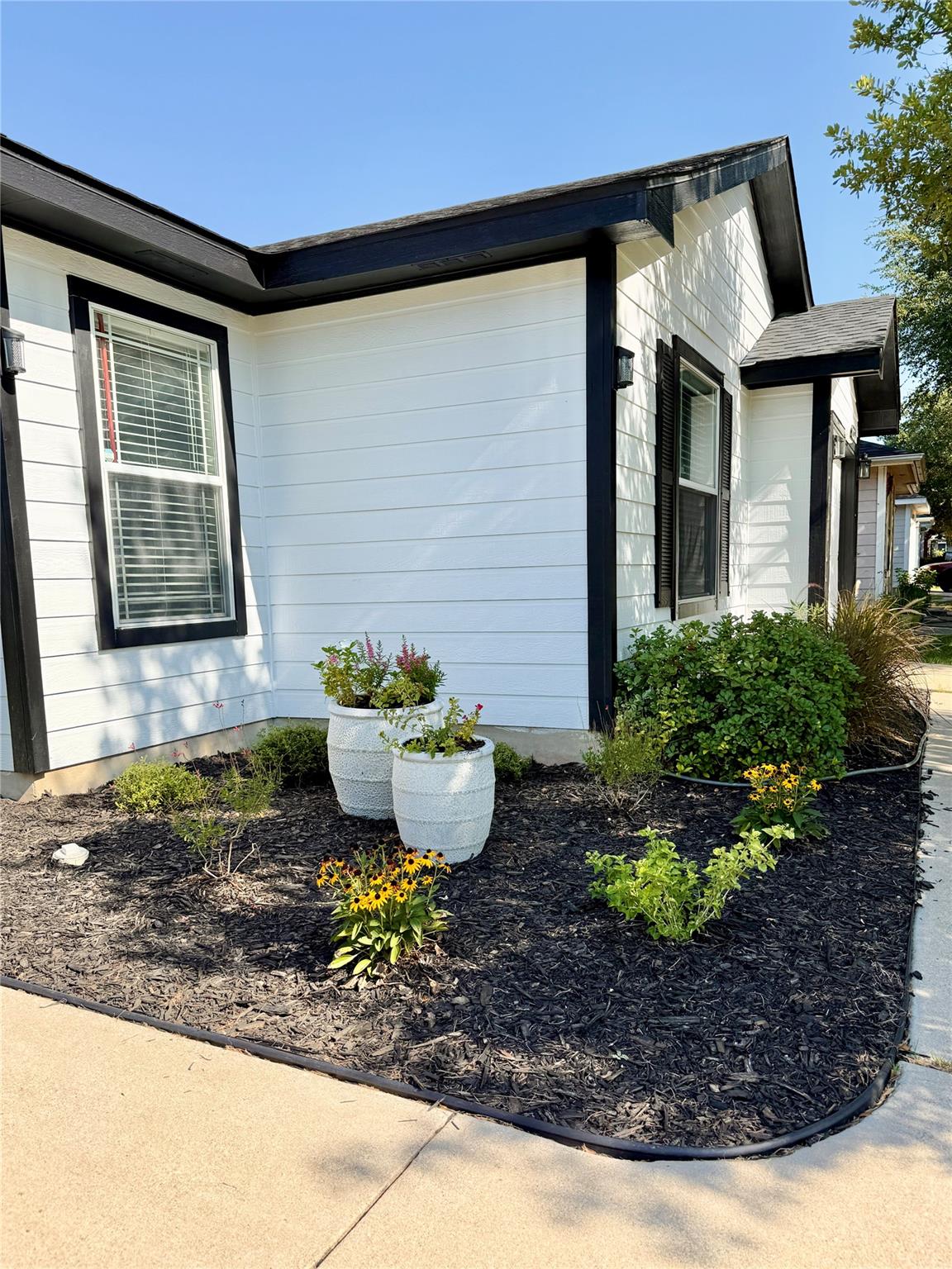 13000 Maidenhair Trl, Elgin, TX 78621