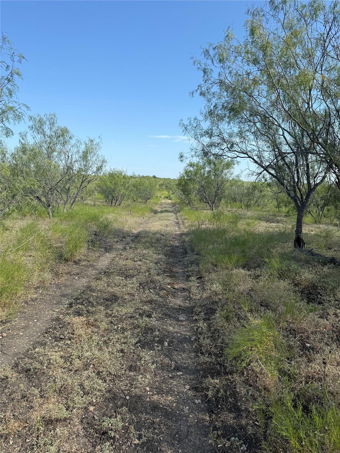 120 N Camino Real Highway, Kyle, TX 78640