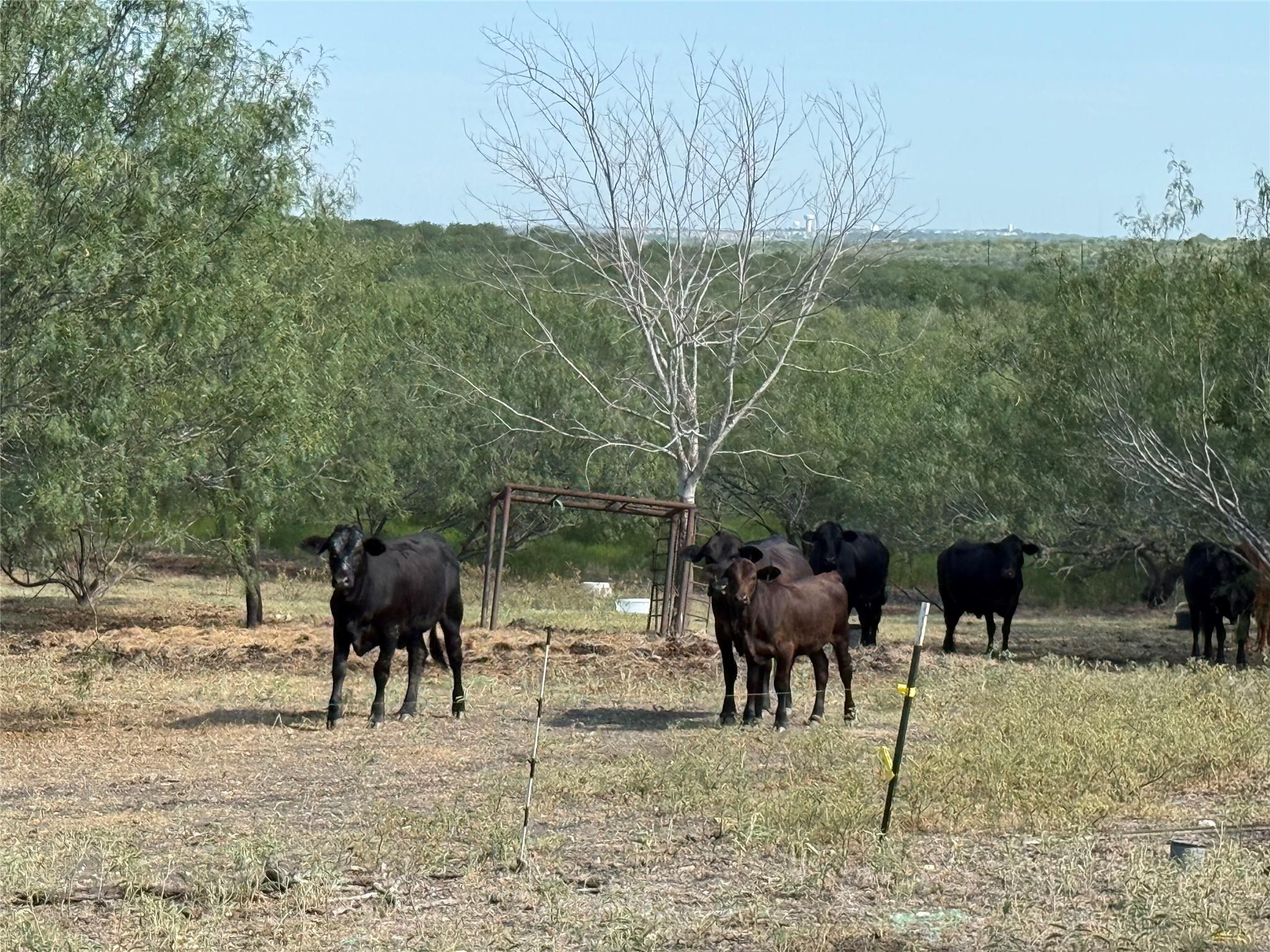 120 N Camino Real Highway, Kyle, TX 78640