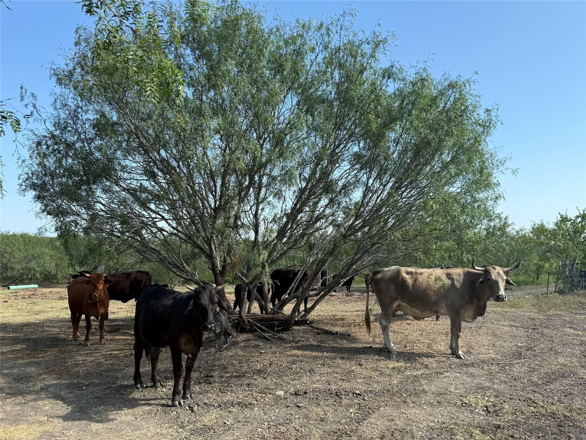 120 N Camino Real Highway, Kyle, TX 78640