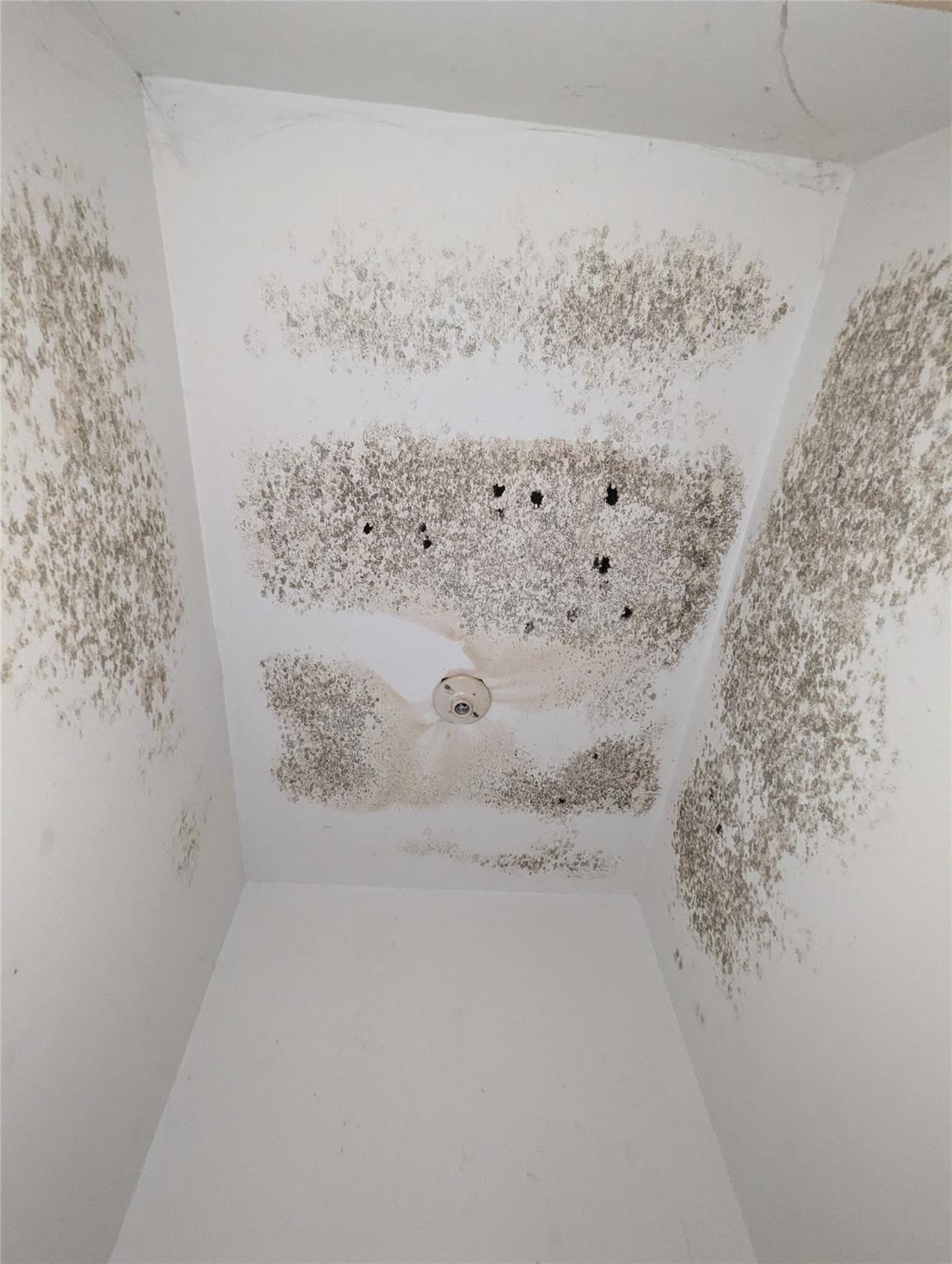 1110 Somerset Ave, Austin, TX 78753