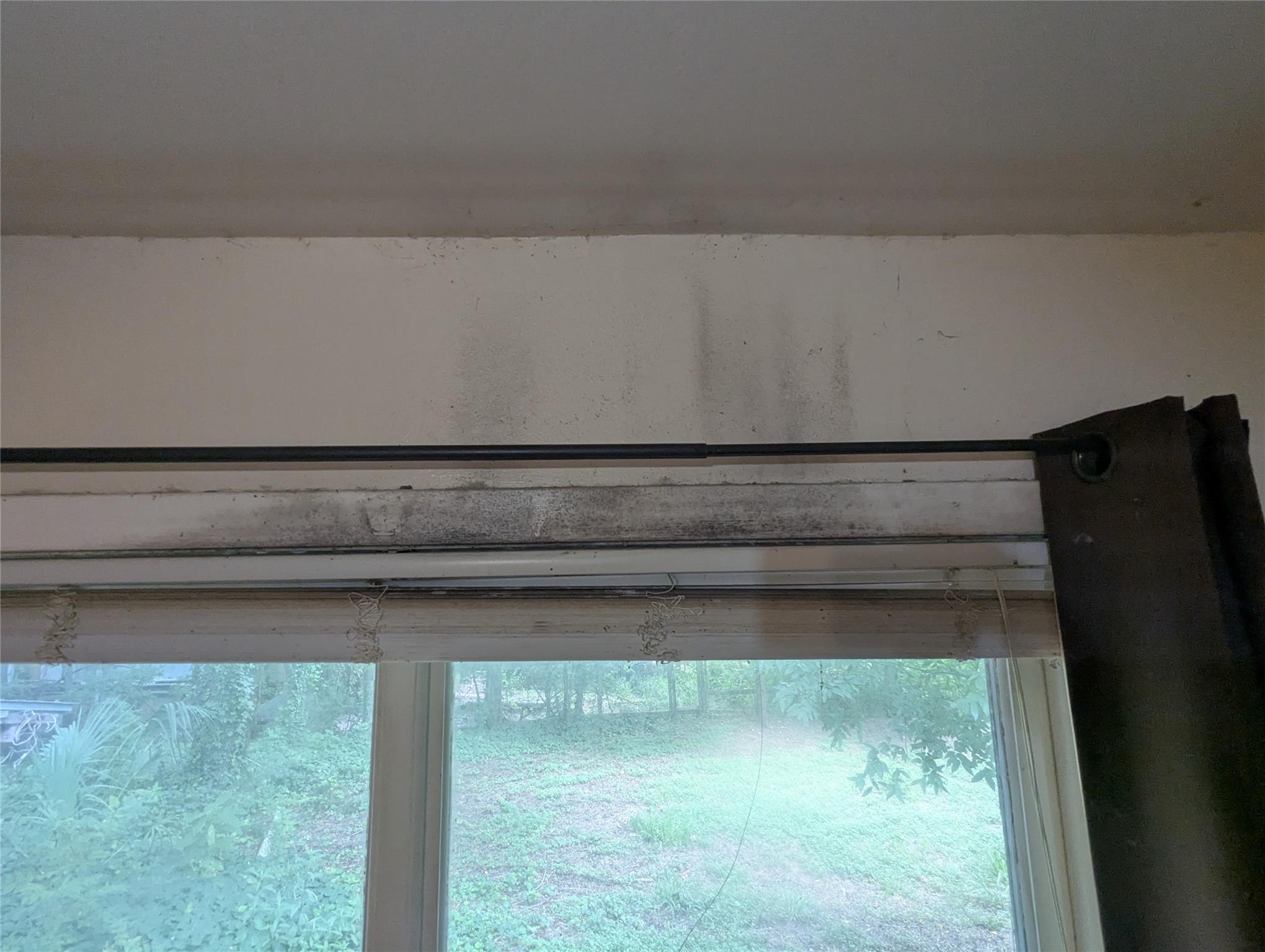 1110 Somerset Ave, Austin, TX 78753