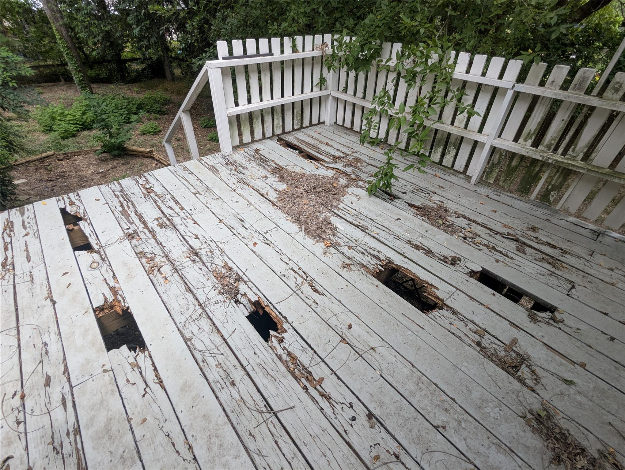 1110 Somerset Ave, Austin, TX 78753