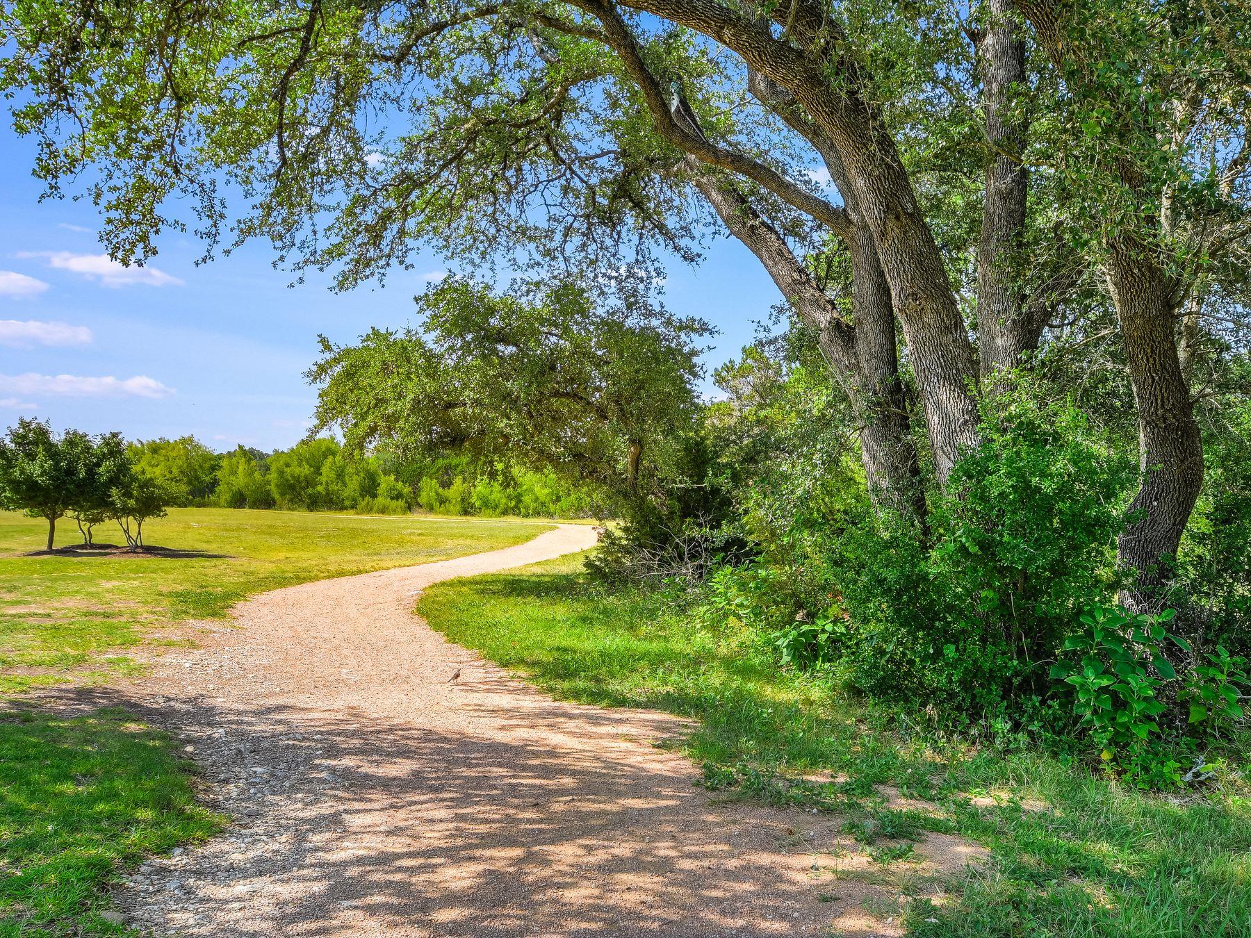 195 Autumn Wood Ln, Austin, TX 78737