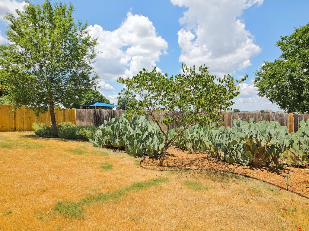 240 Wildhorse Crk, Buda, TX 78610