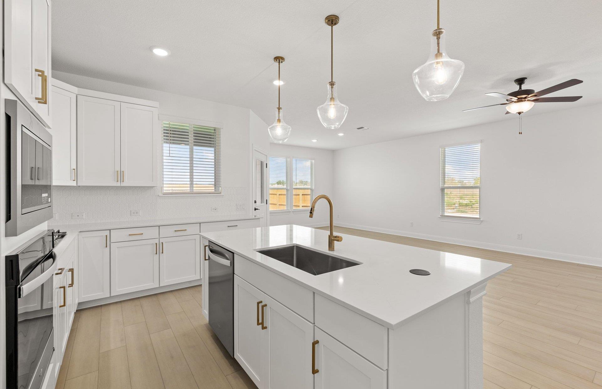 16820 Catemaco Walk, Manor, TX 78653