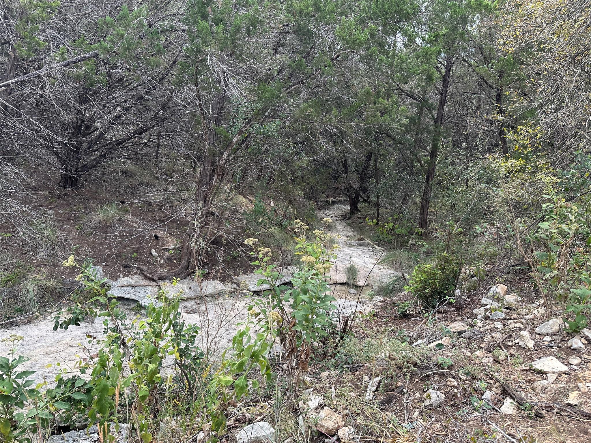 13217 NORTH RIDGE Cir, Leander, TX 78641