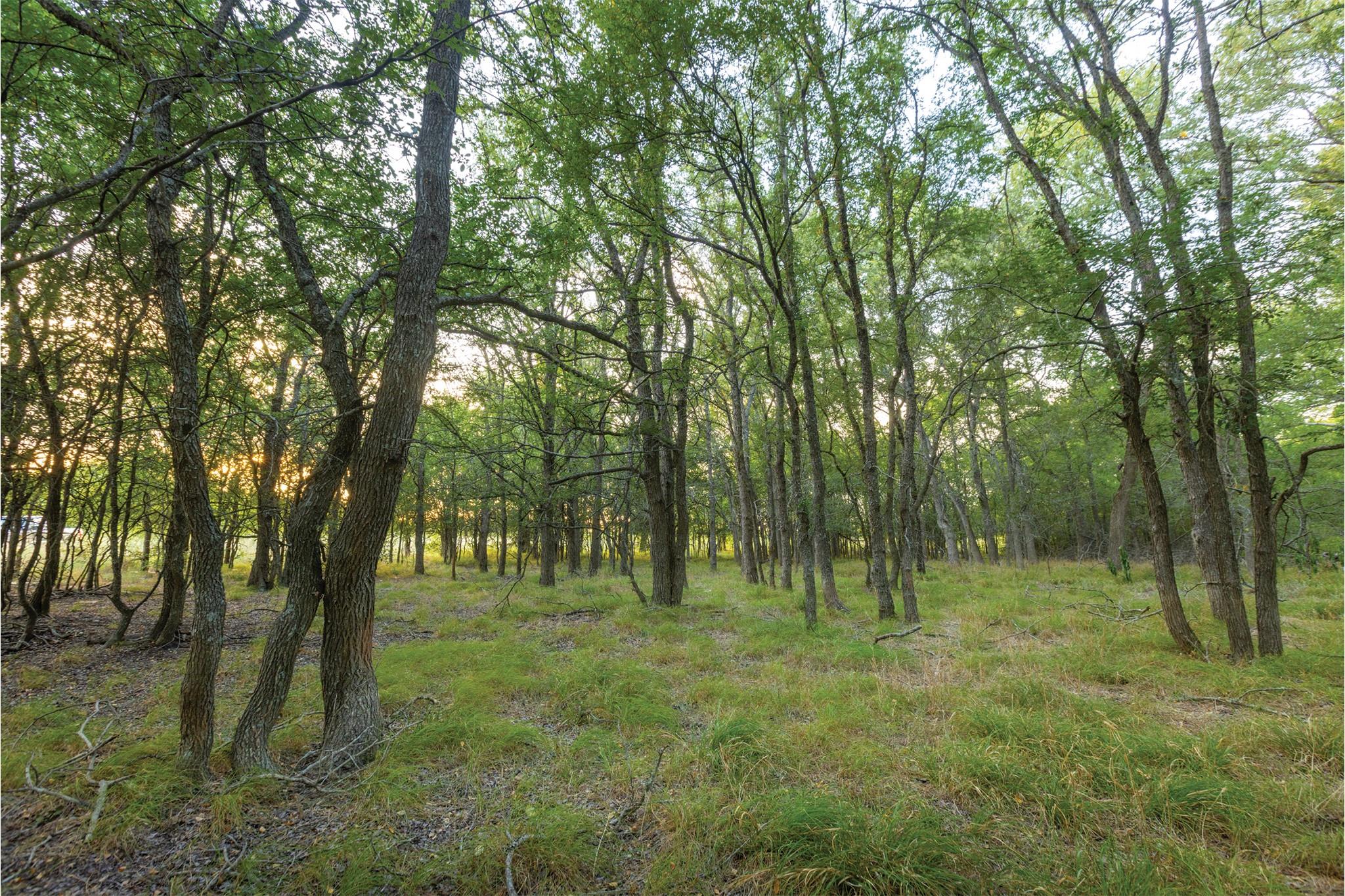 498 N County Line Rd, Elgin, TX 78621