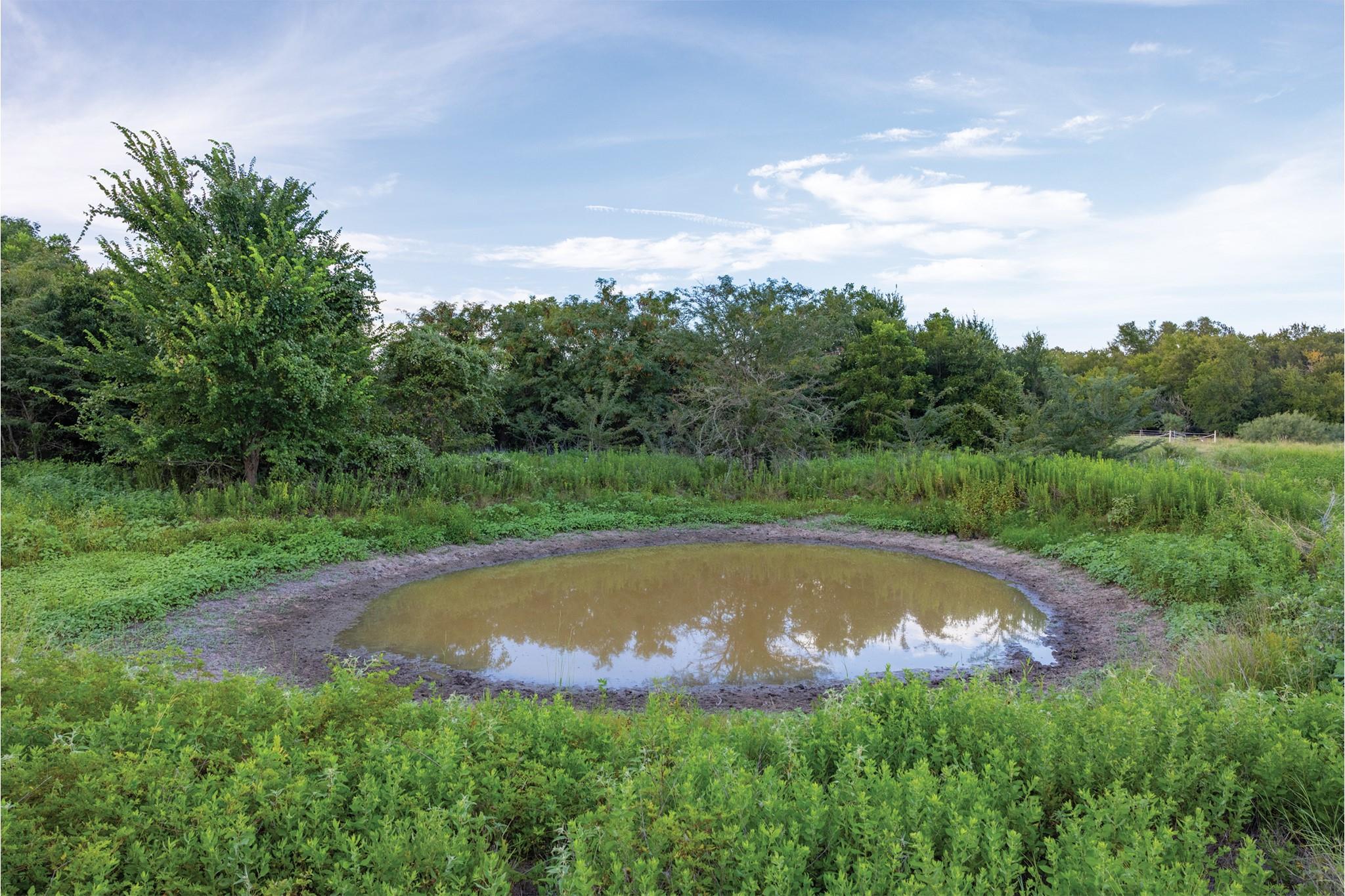 498 N County Line Rd, Elgin, TX 78621