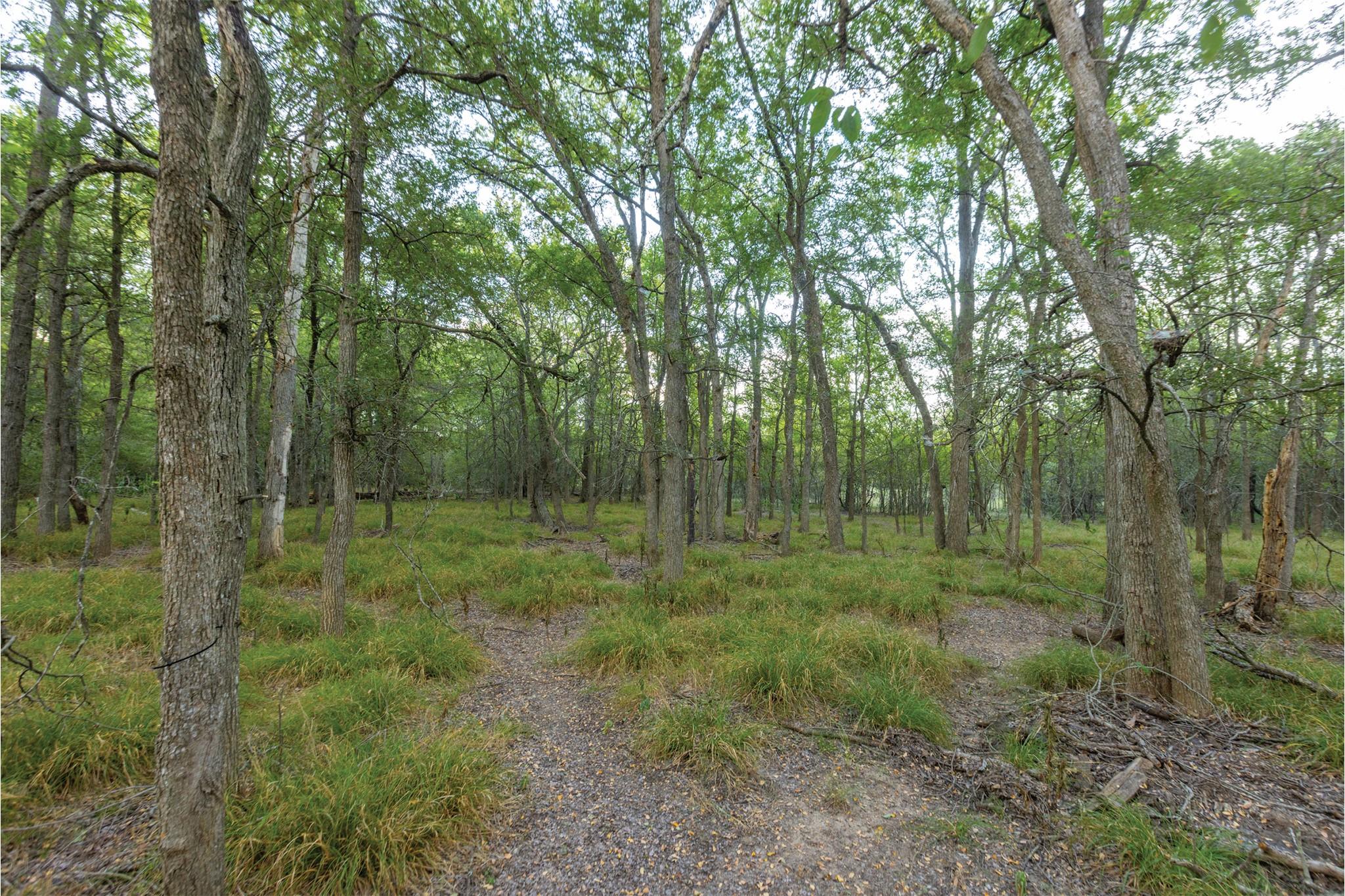 498 N County Line Rd, Elgin, TX 78621