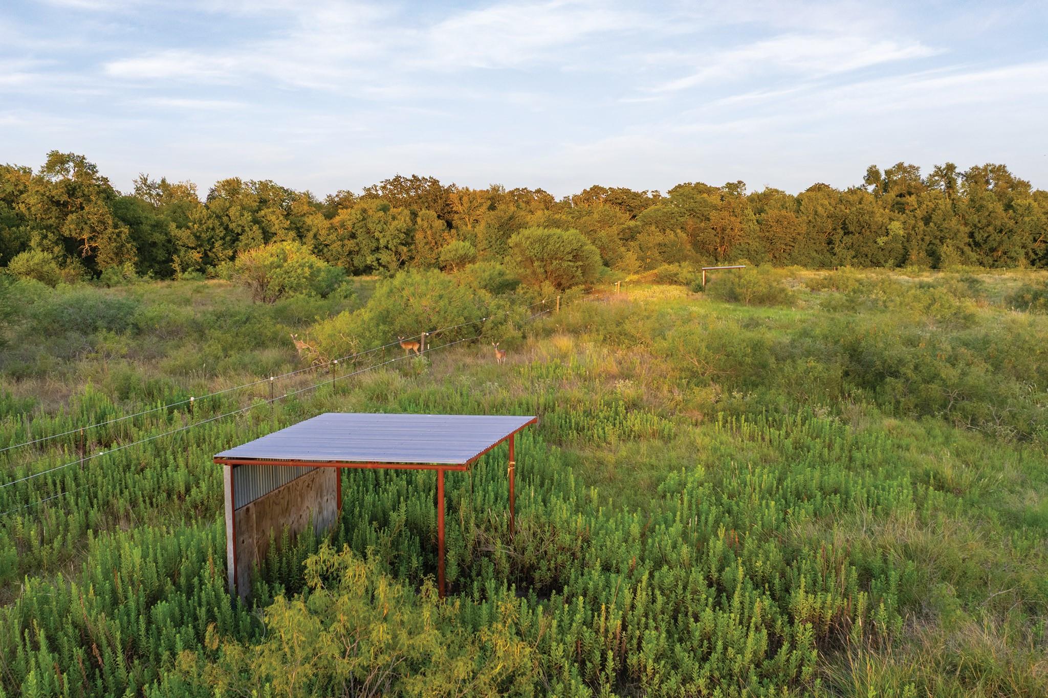 498 N County Line Rd, Elgin, TX 78621