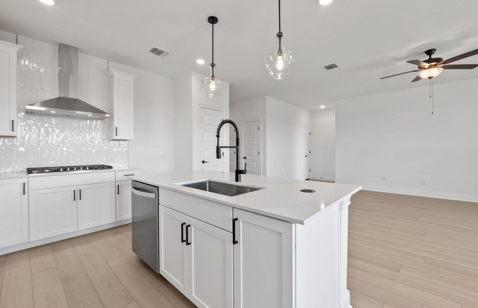 16817 Catemaco Walk, Manor, TX 78653