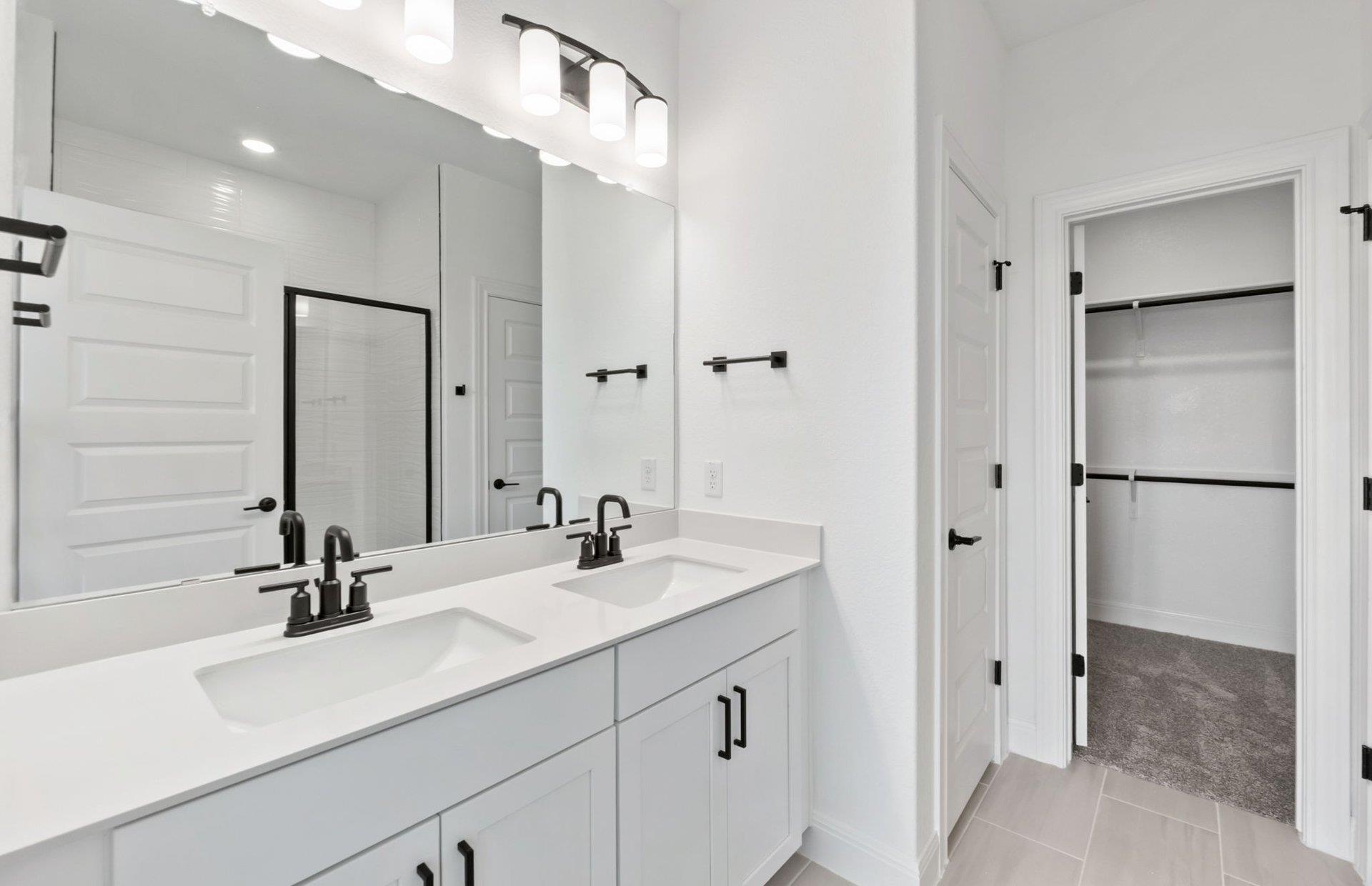 16817 Catemaco Walk, Manor, TX 78653