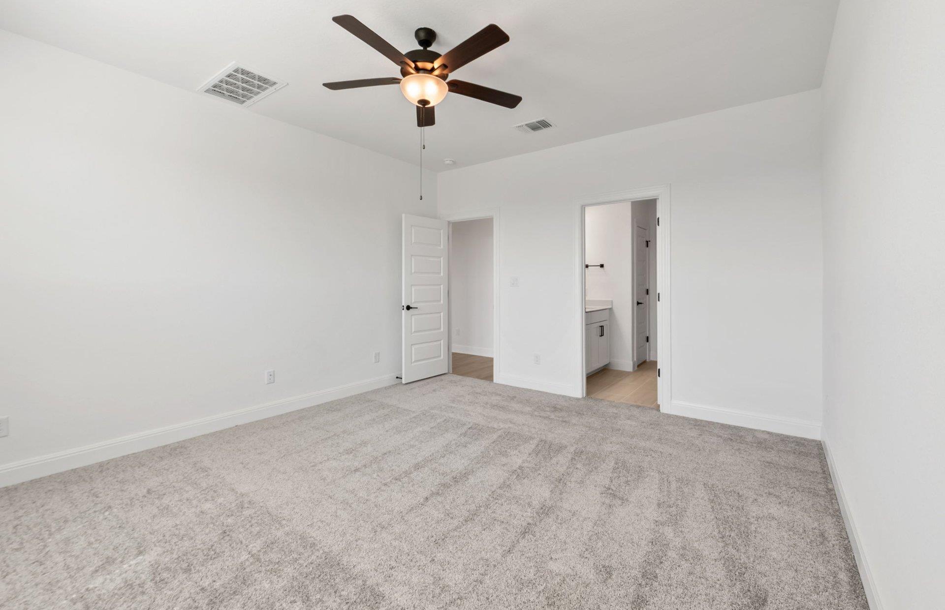 16817 Catemaco Walk, Manor, TX 78653