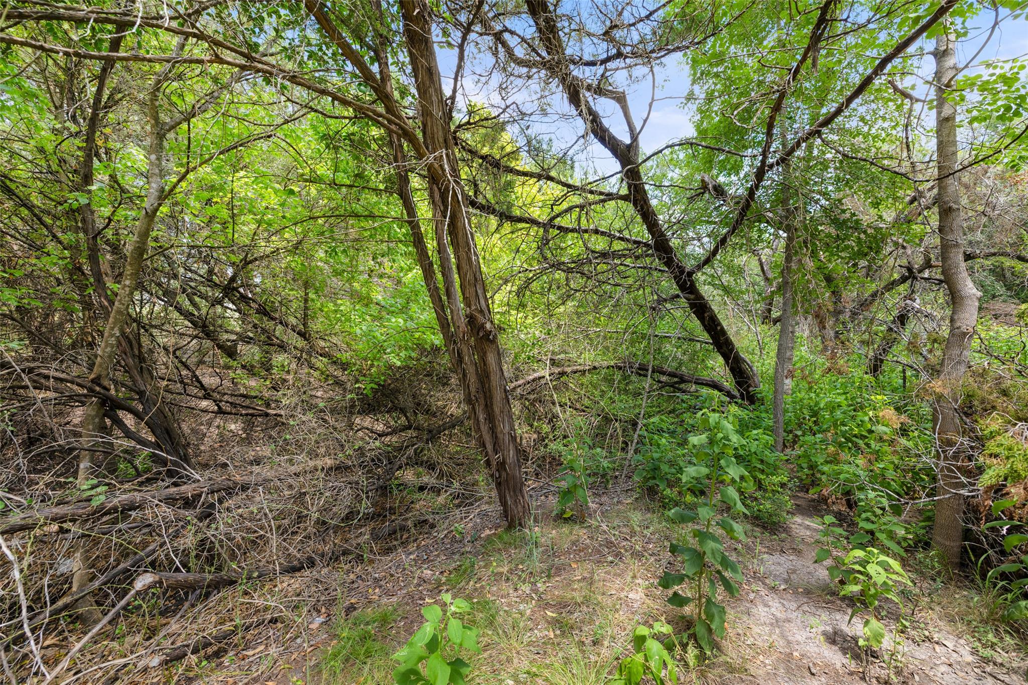 1812 & 1810 Miami Dr, Austin, TX 78733