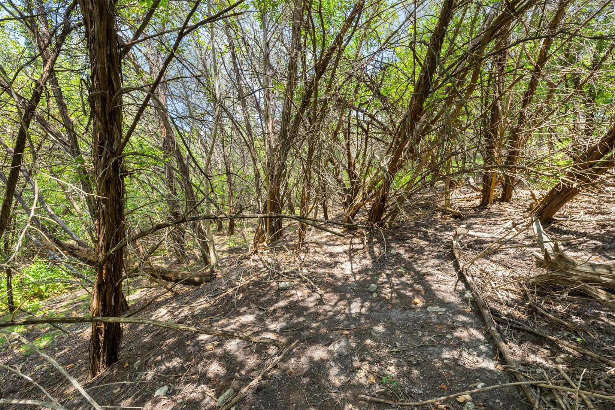 1812 & 1810 Miami Dr, Austin, TX 78733